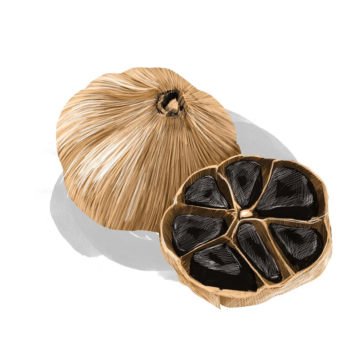 Black Garlic