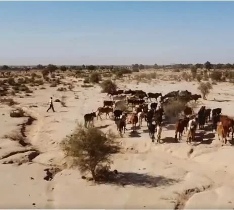 Reconciliation screen capture.JPG