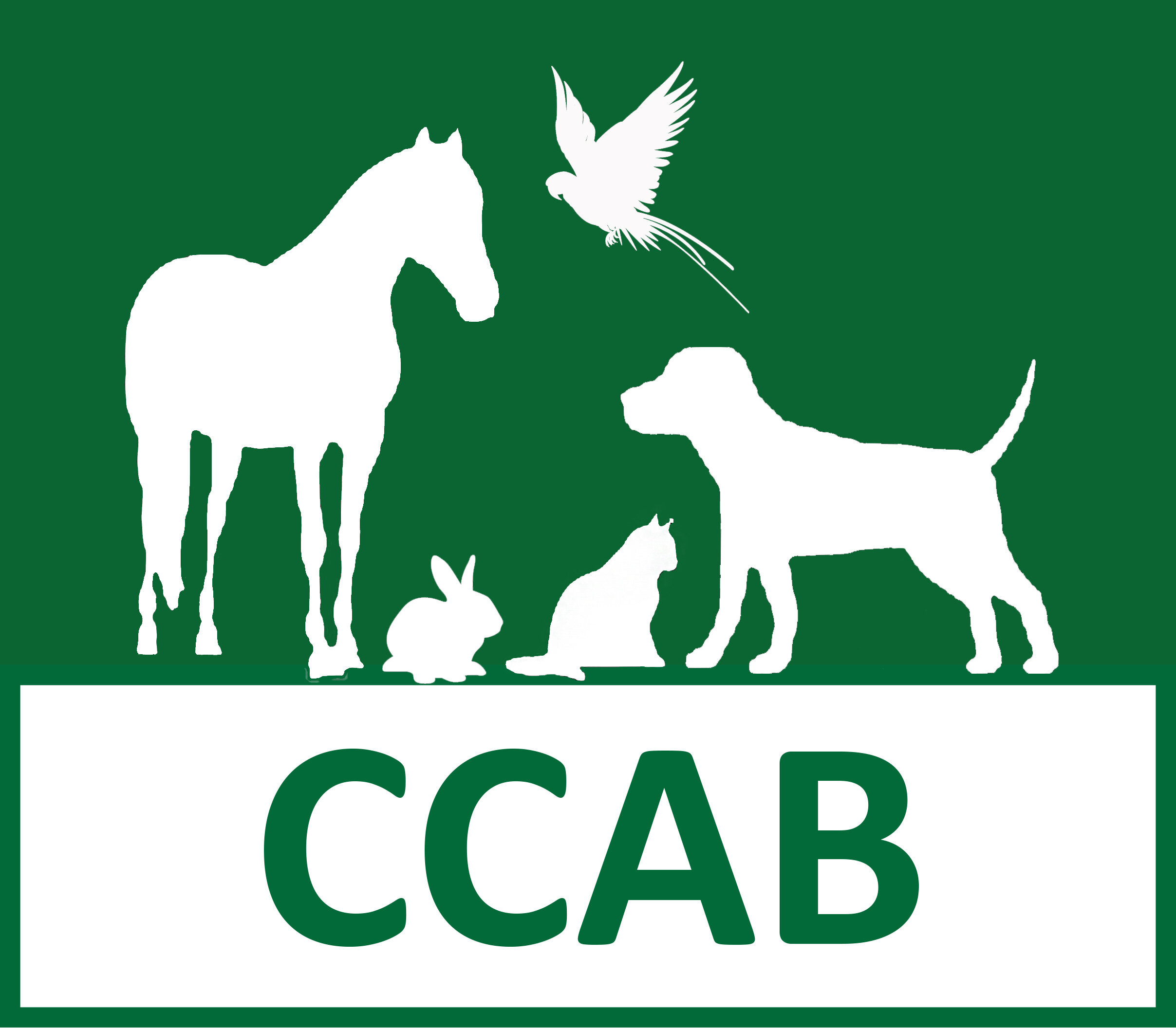 CCAB Accreditation — ASAB