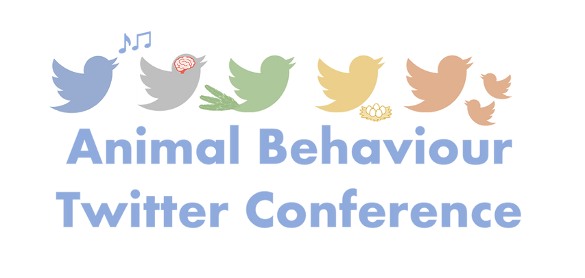 Animal Behaviour Twitter Conference 2023