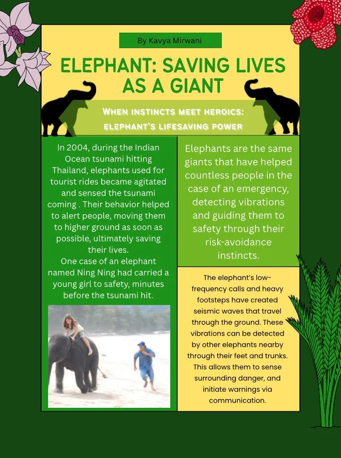 Kavya Mirwani 10 25.jpeg