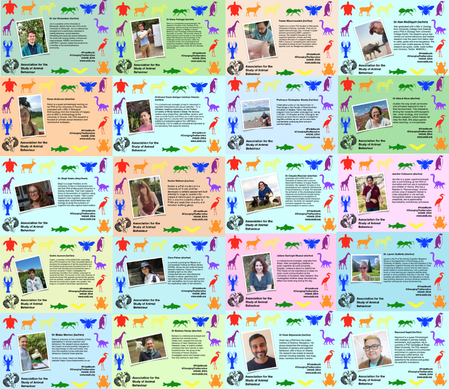Impressions from the LGBTQIA+ initiative.