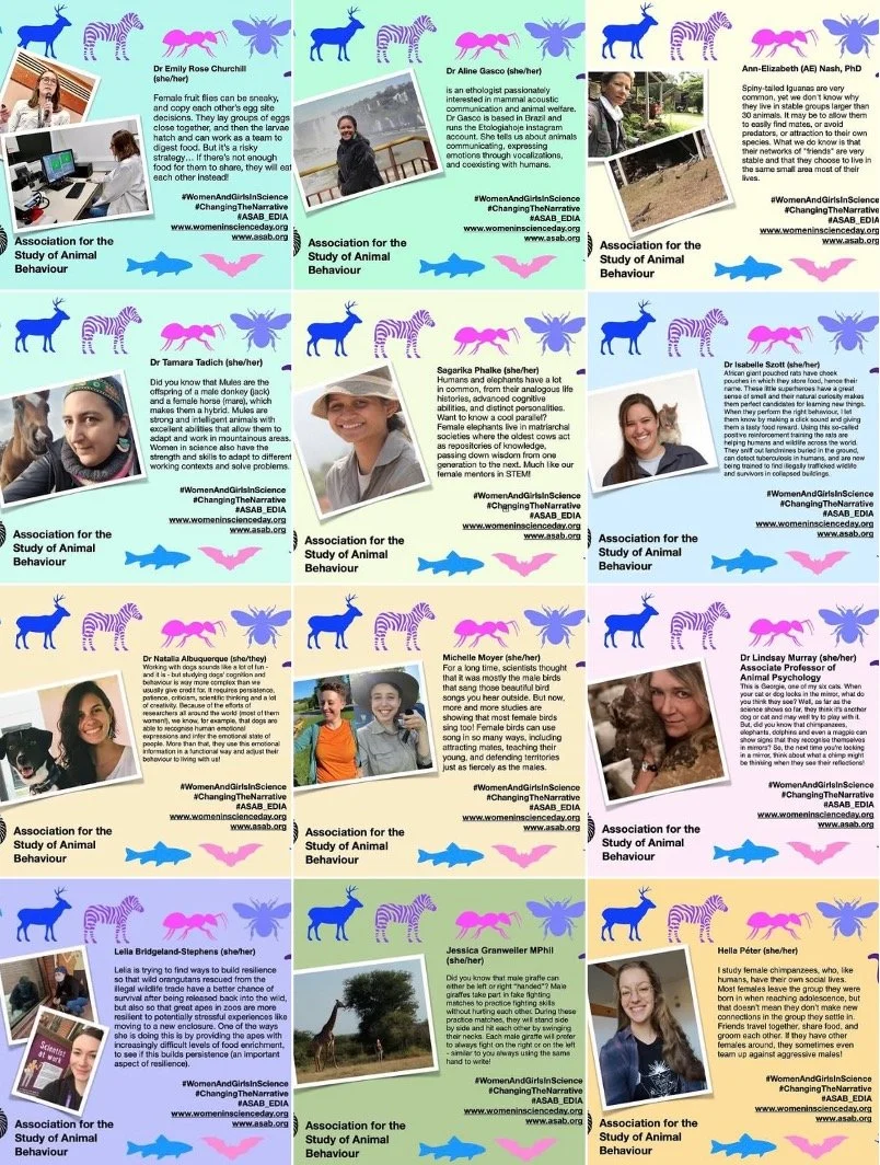 Impressions from the Women and Girls in Science initiative