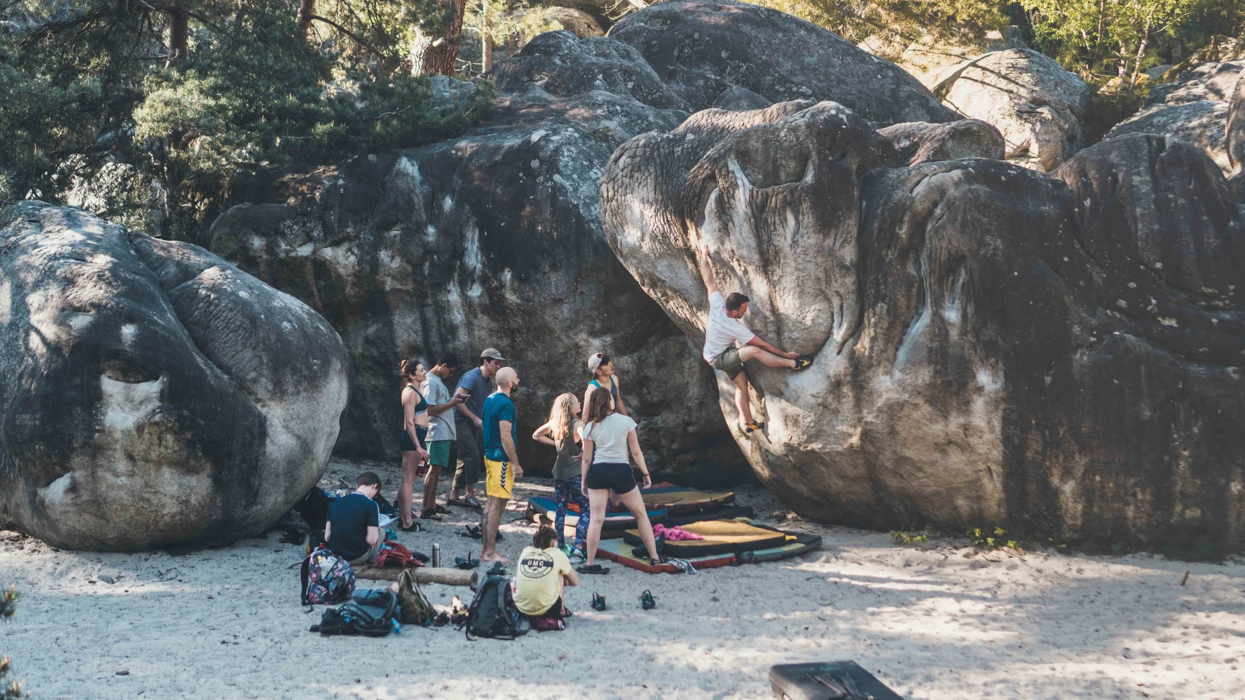 Bouldering in fontainebleau