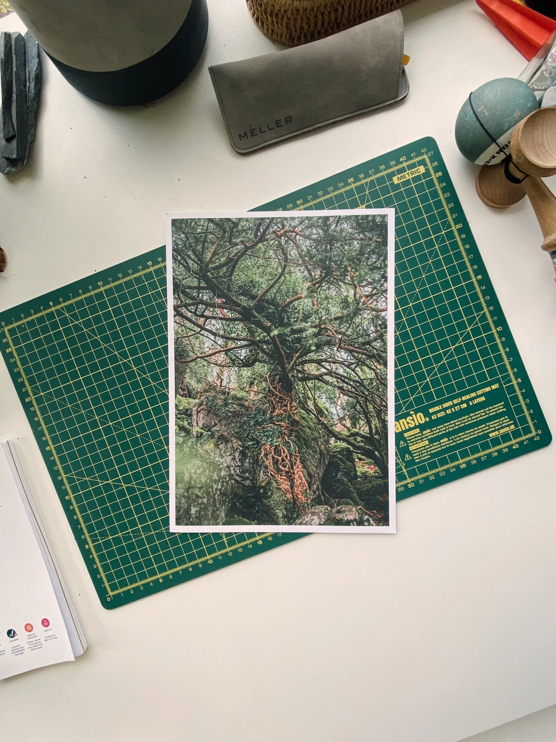 201463C7-7C7C-4694-A158-E05BF610F0C4