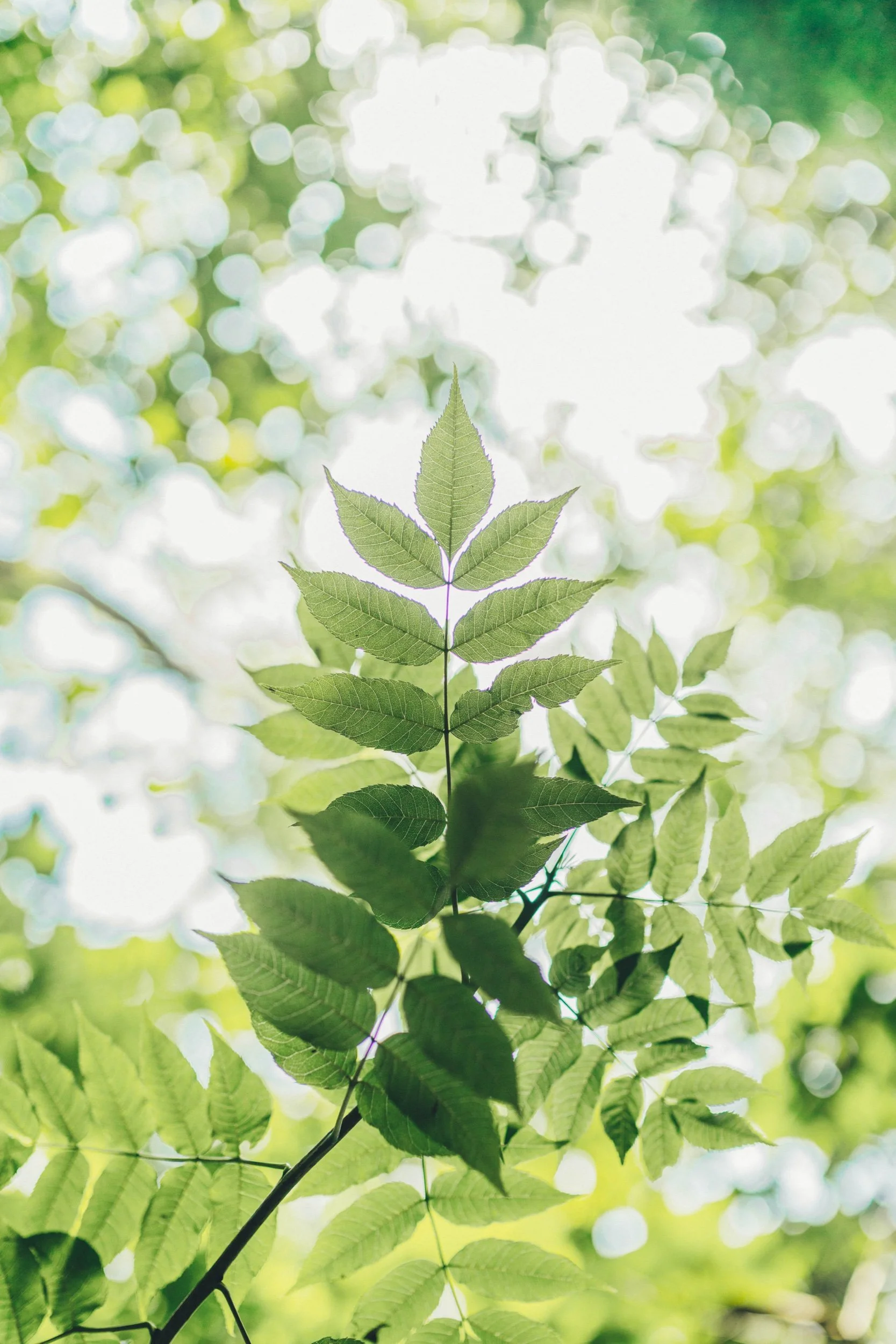 7R205382.jpeg