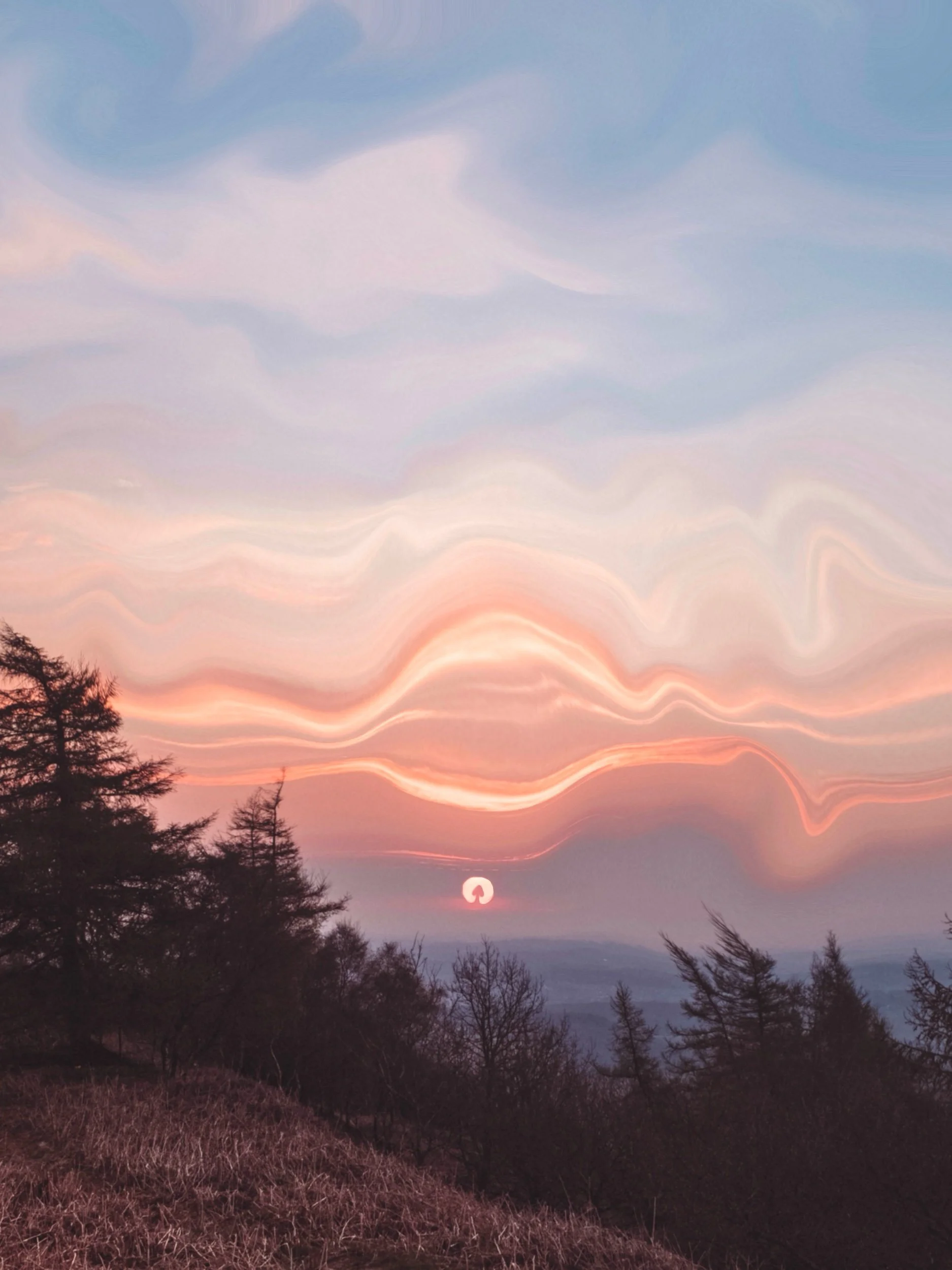 Morning mushroom.jpeg