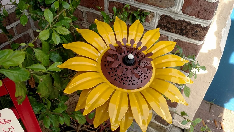 GS - sunflower outside.jpg