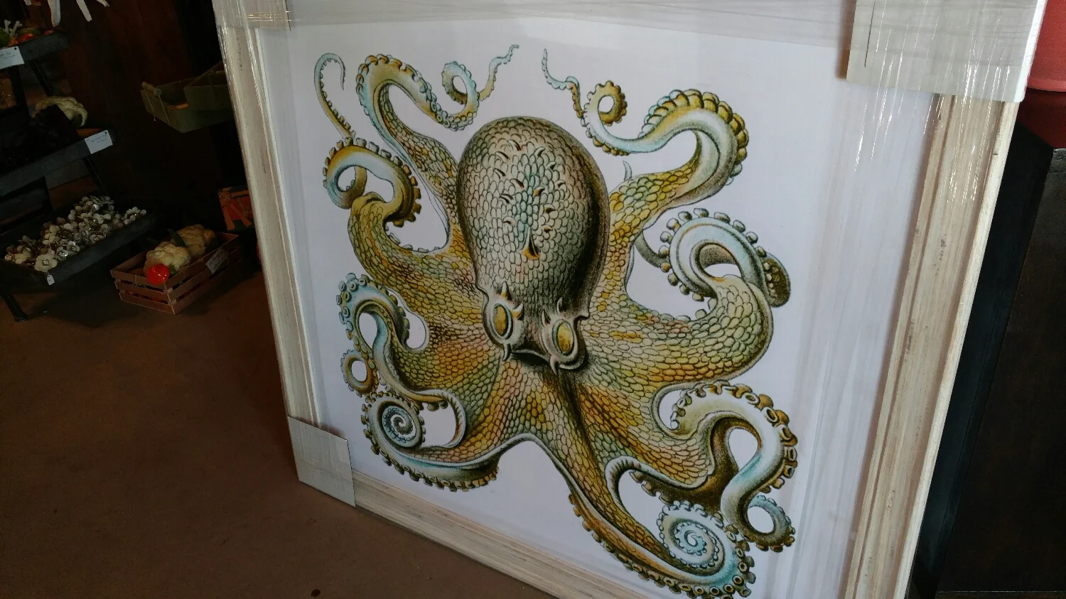 a big wild octopus! How fun!