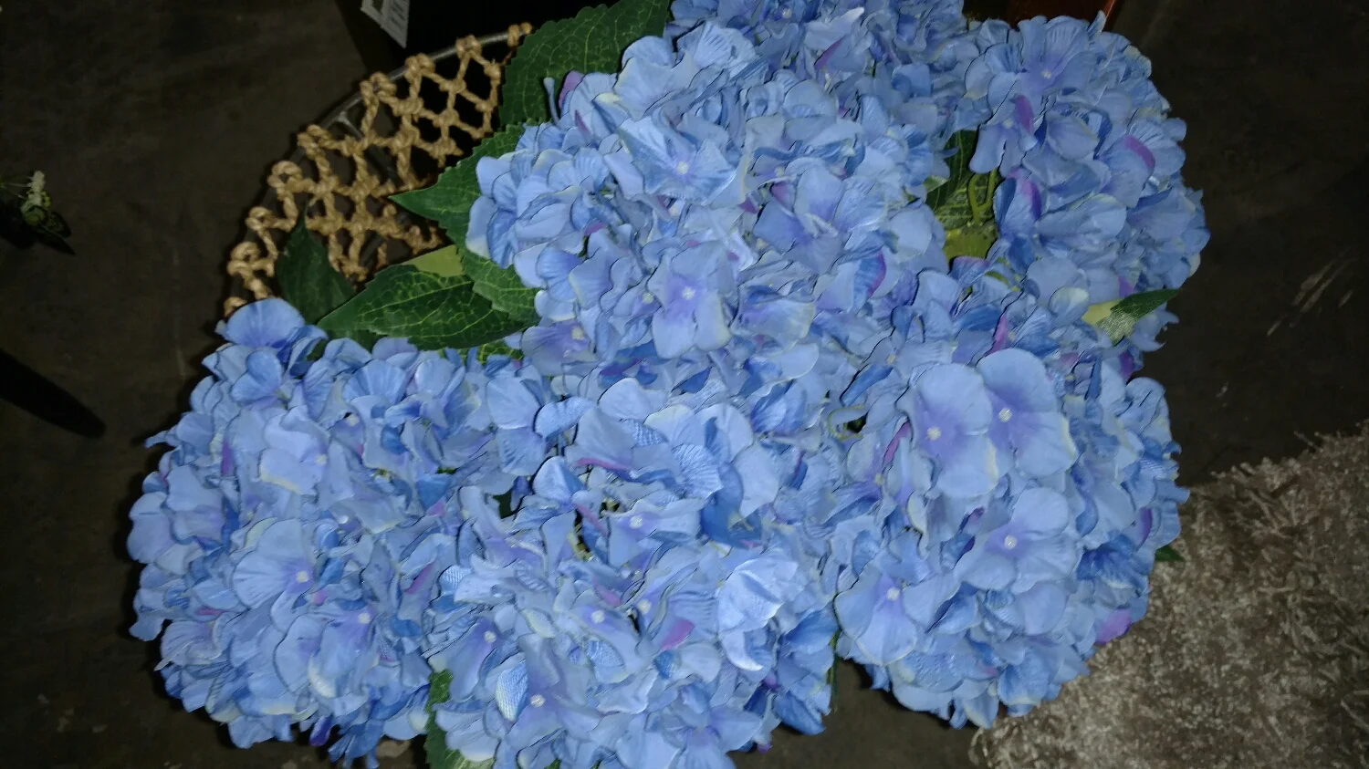 Blue hydrangea! 