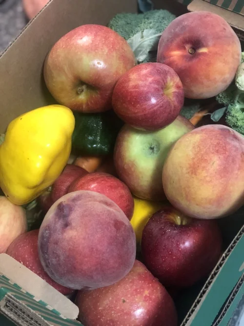 Here’s a sneak peek at the basket my veggie fairy, Melissa, brought me! The peaches were HUGE!