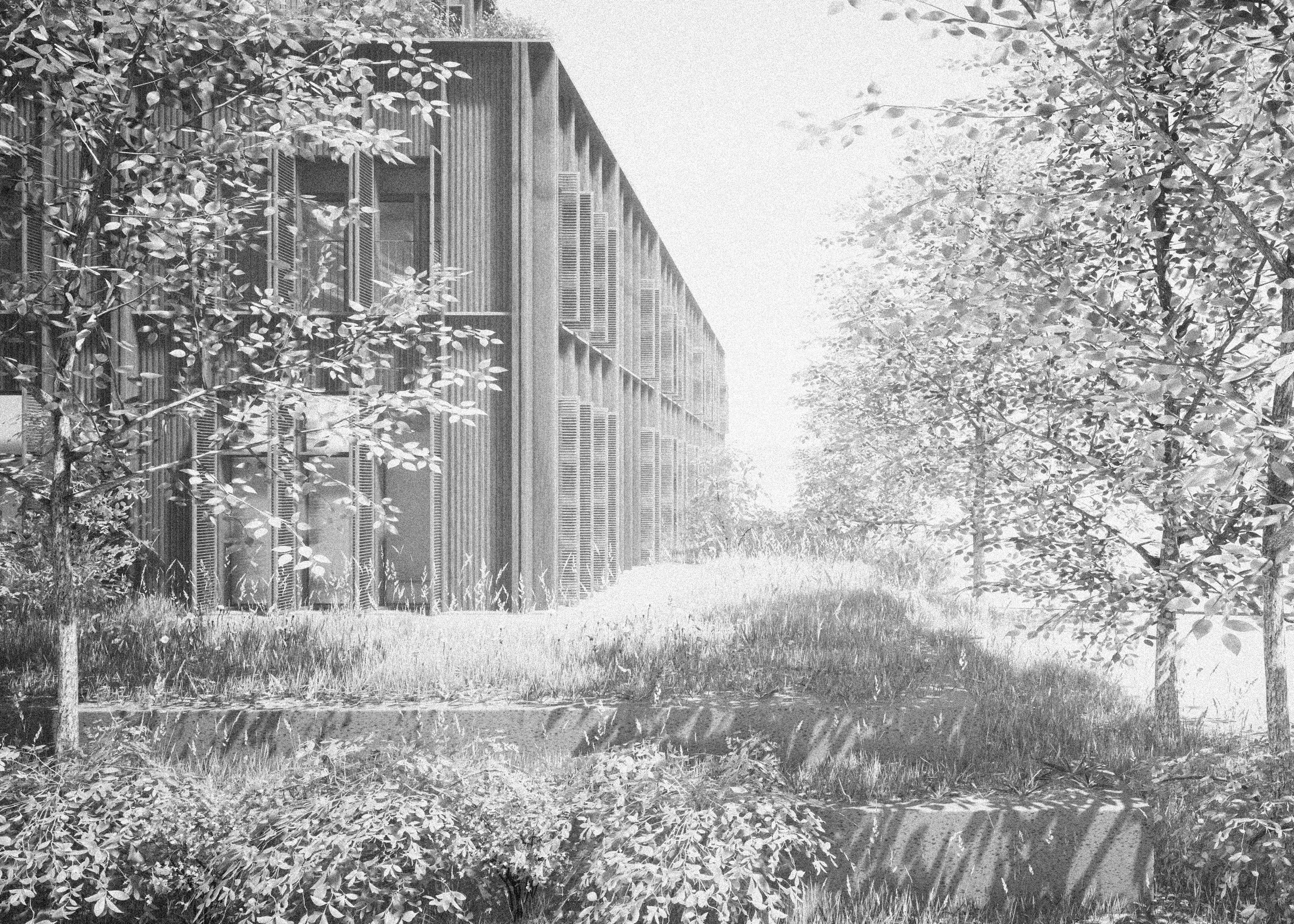 %C2%A9+MM-VSY_PERSPECTIVE.jpg