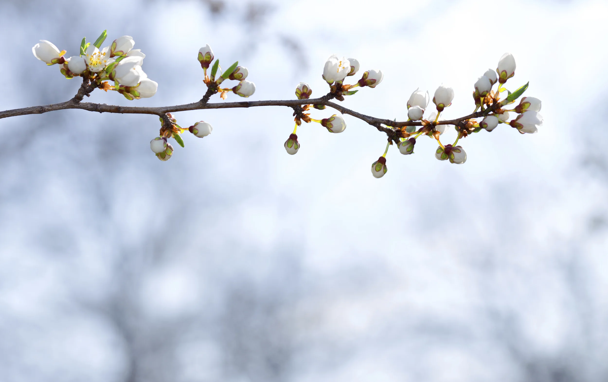 iStock_000062921912_Full.jpg