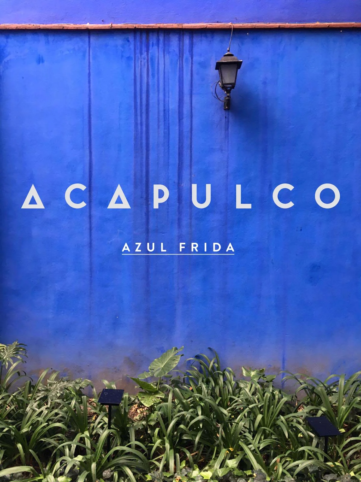 AzulFrida_AD.jpg