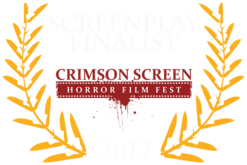 2017_screenplay_finalist_color.png