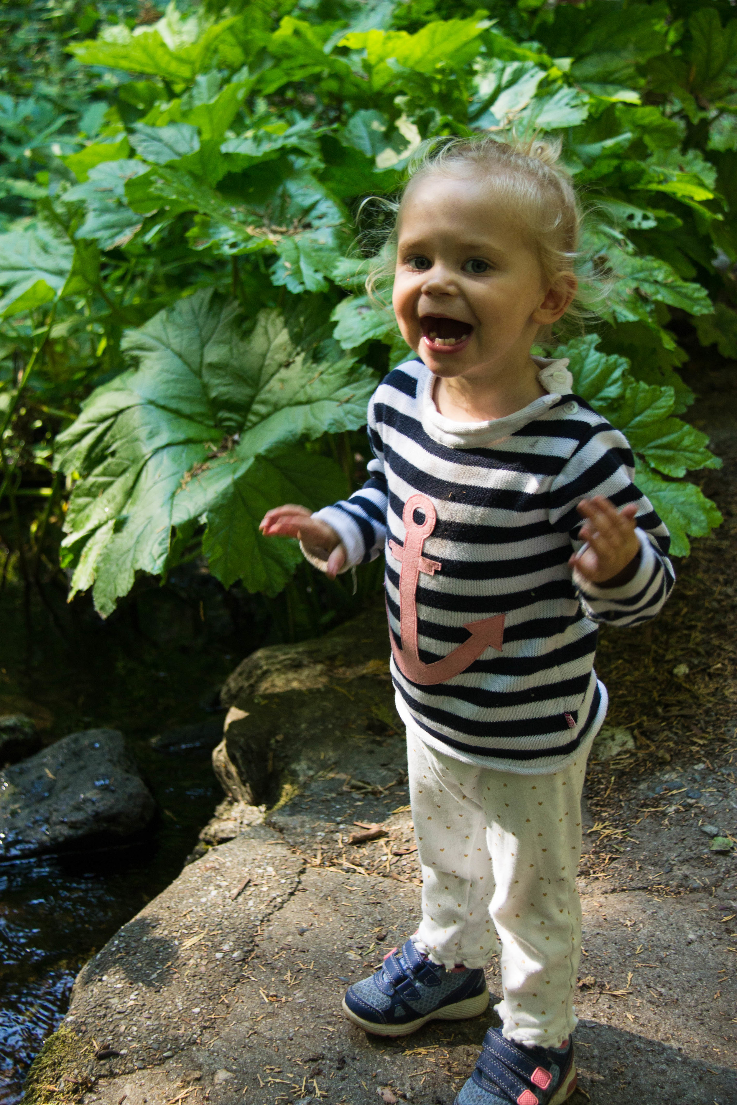 Dropping rocks in the creek was definitely the favorite activity