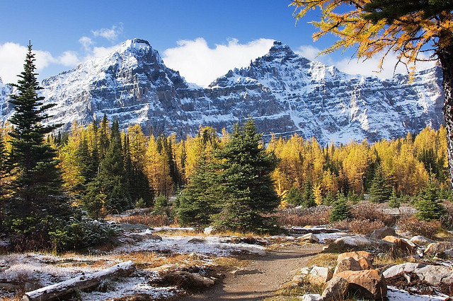 Larch Valley - photo by Andy Simonds