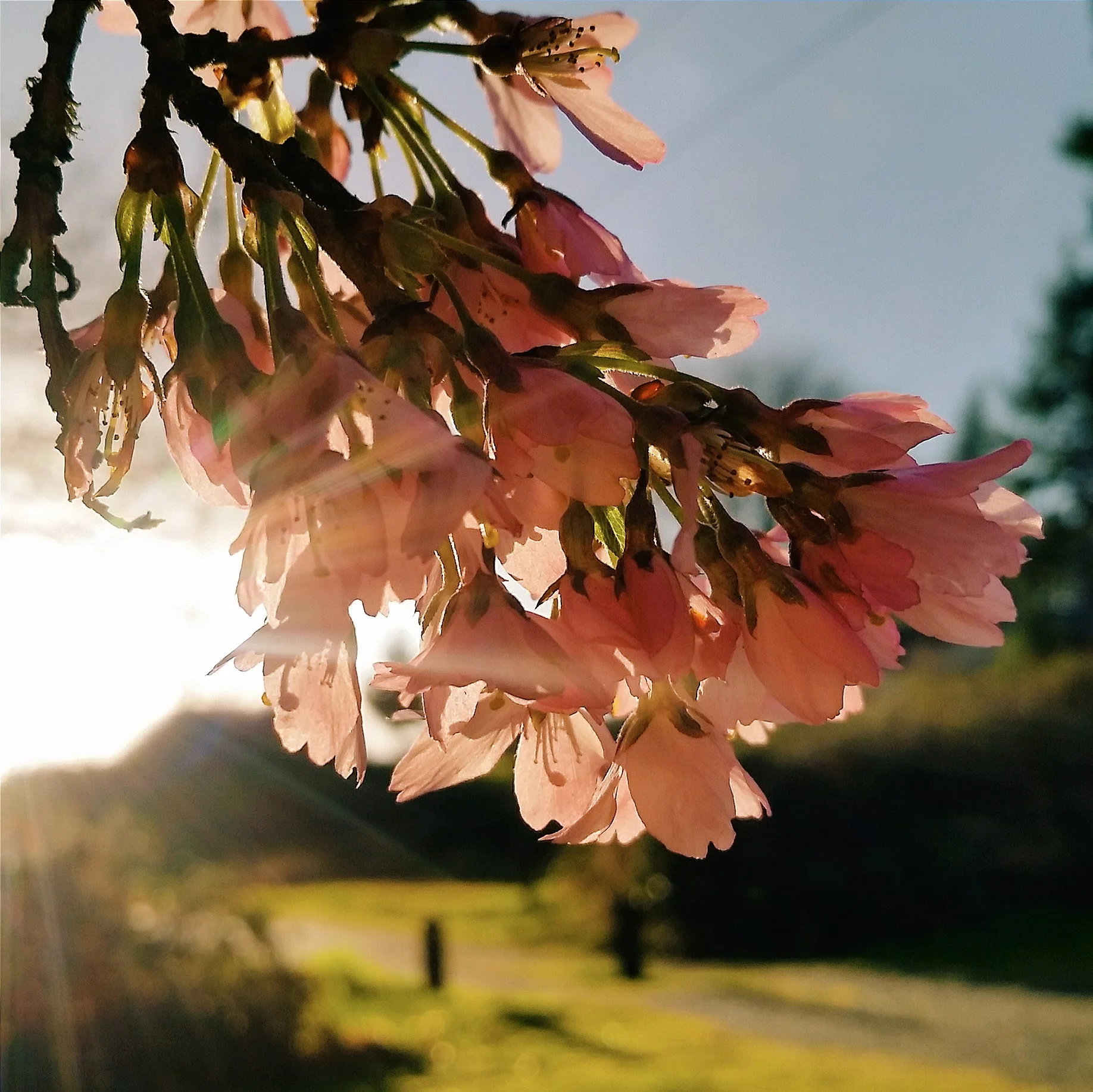 Life: Week 8