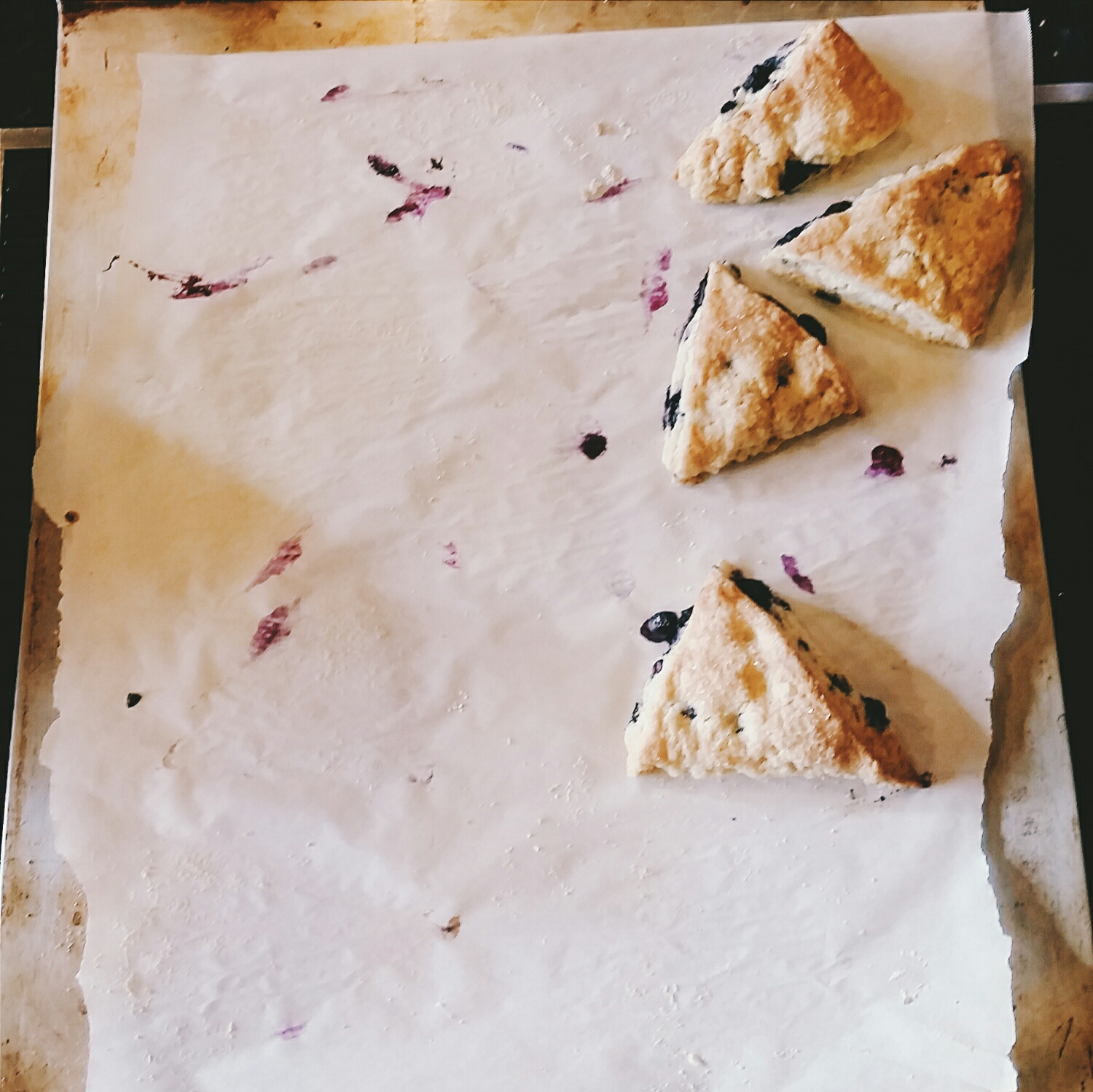 Fresh baked blueberry lemon scones disappeared fast at breakfast