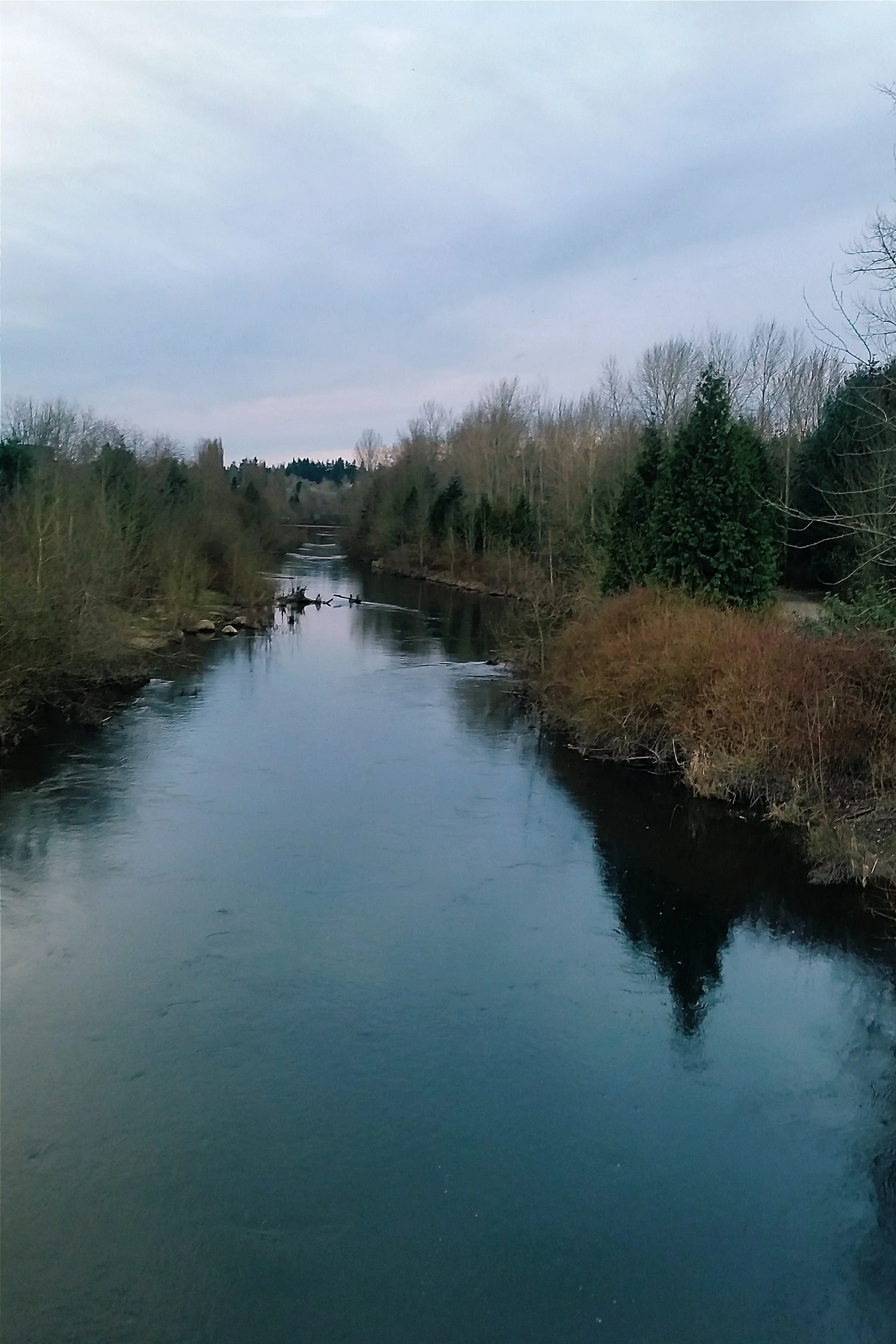 2016-02-23 07.25.15 1.jpg