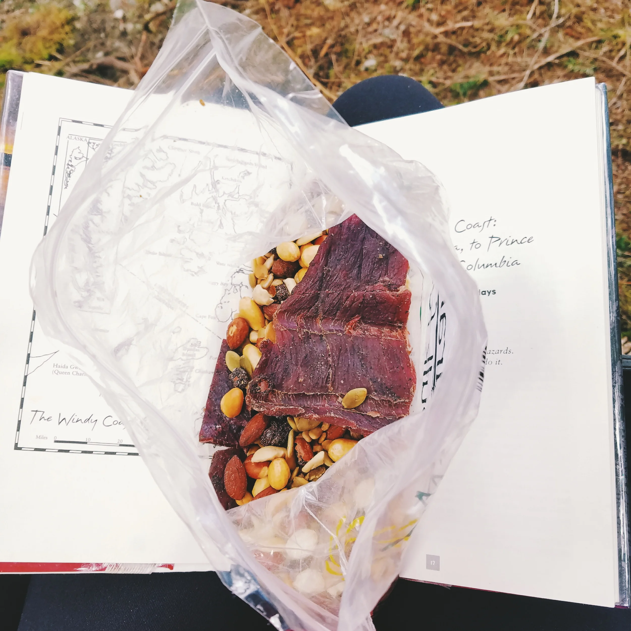Trail lunch: gorp with a few hunks of jerky thrown in