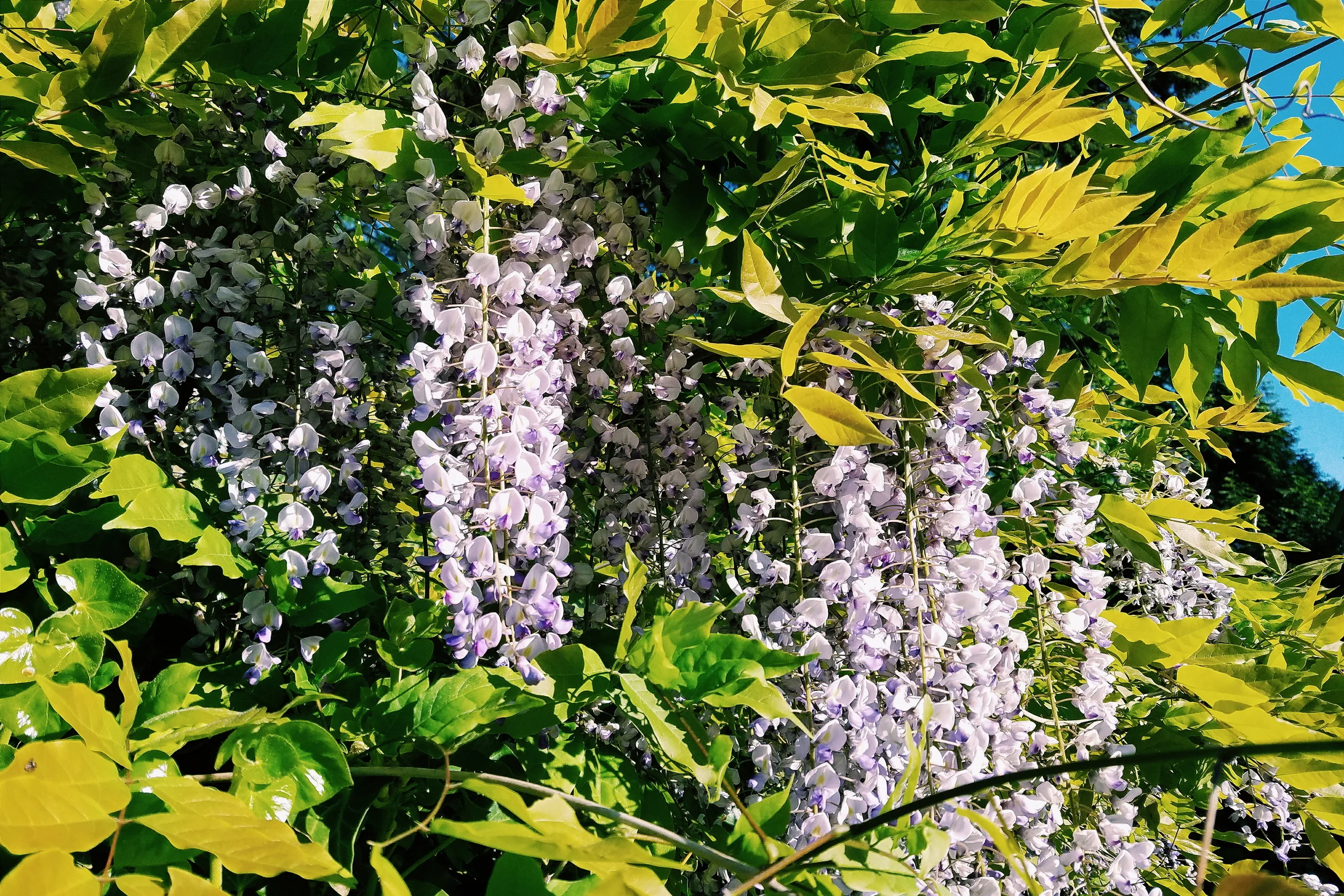 2016-05-02 08.47.30 1.jpg