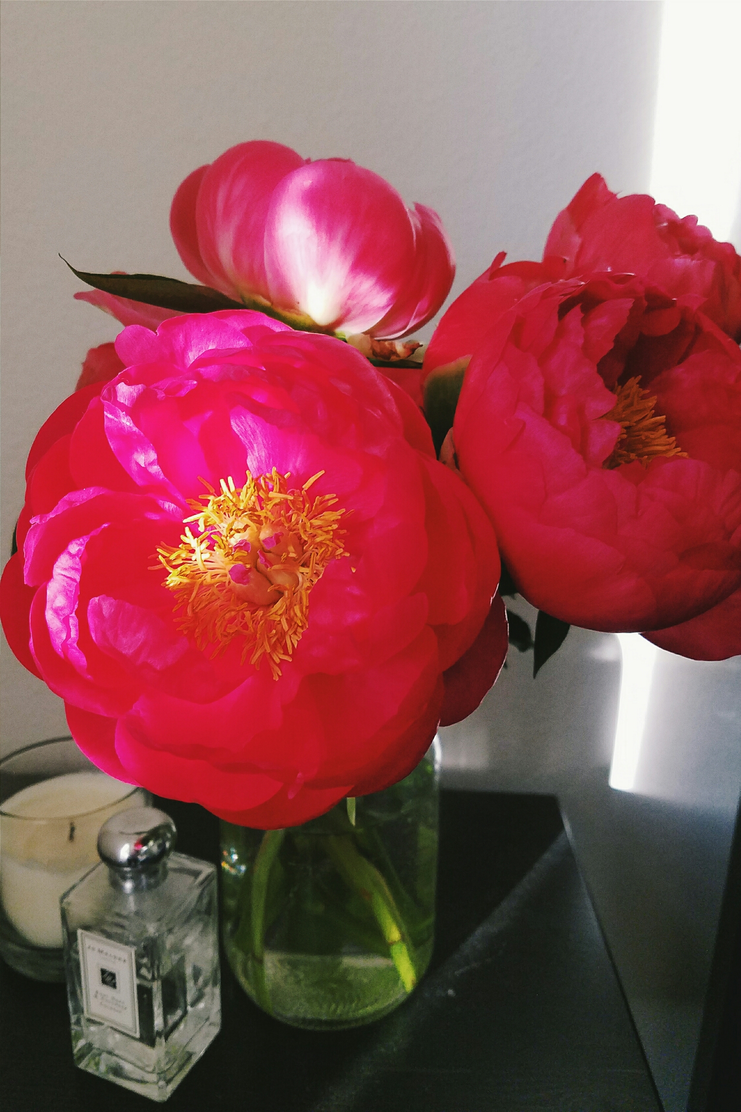 The first farmer's market peonies of the year