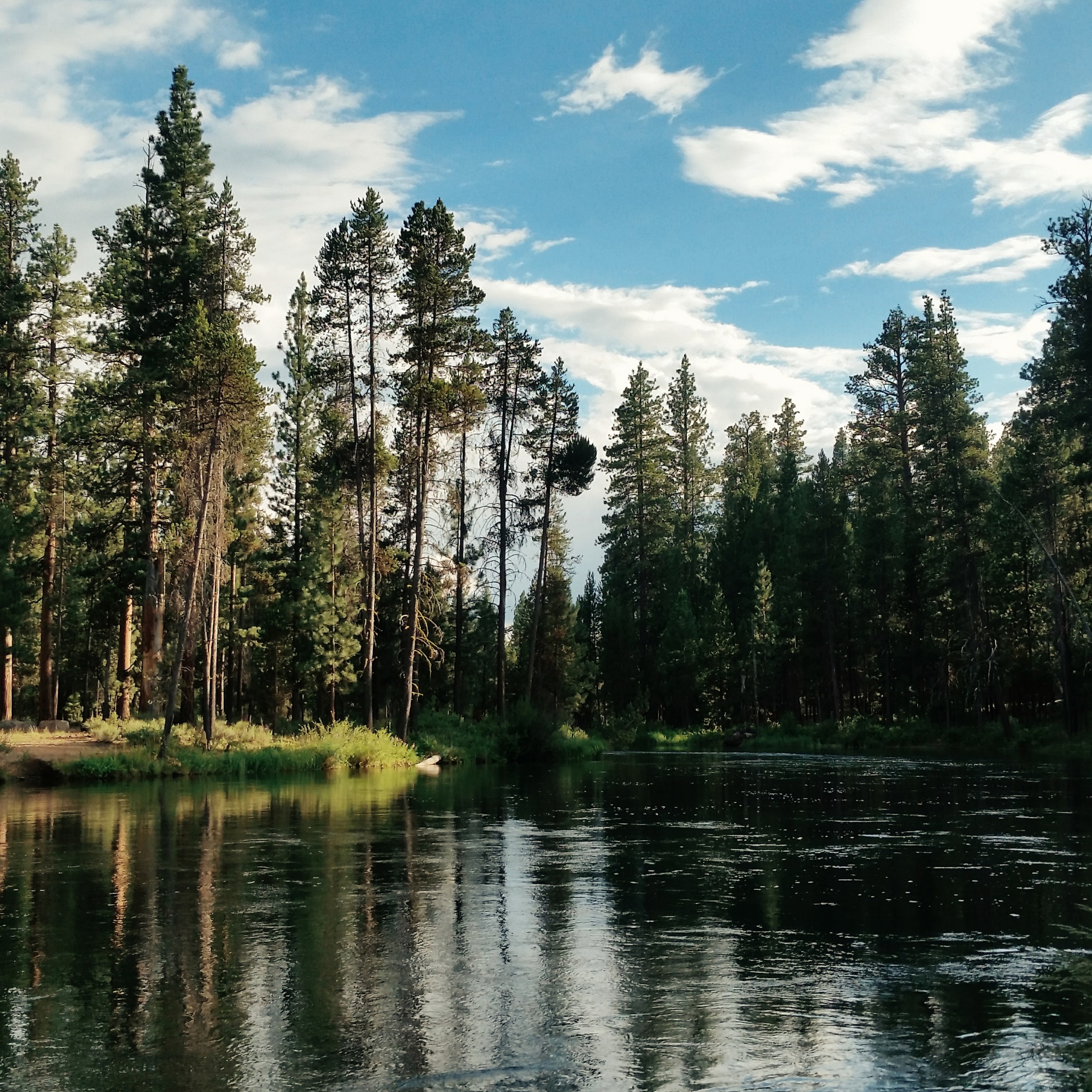 Remote campsite on the Deschutes River that was our first stop on a road trip last summer