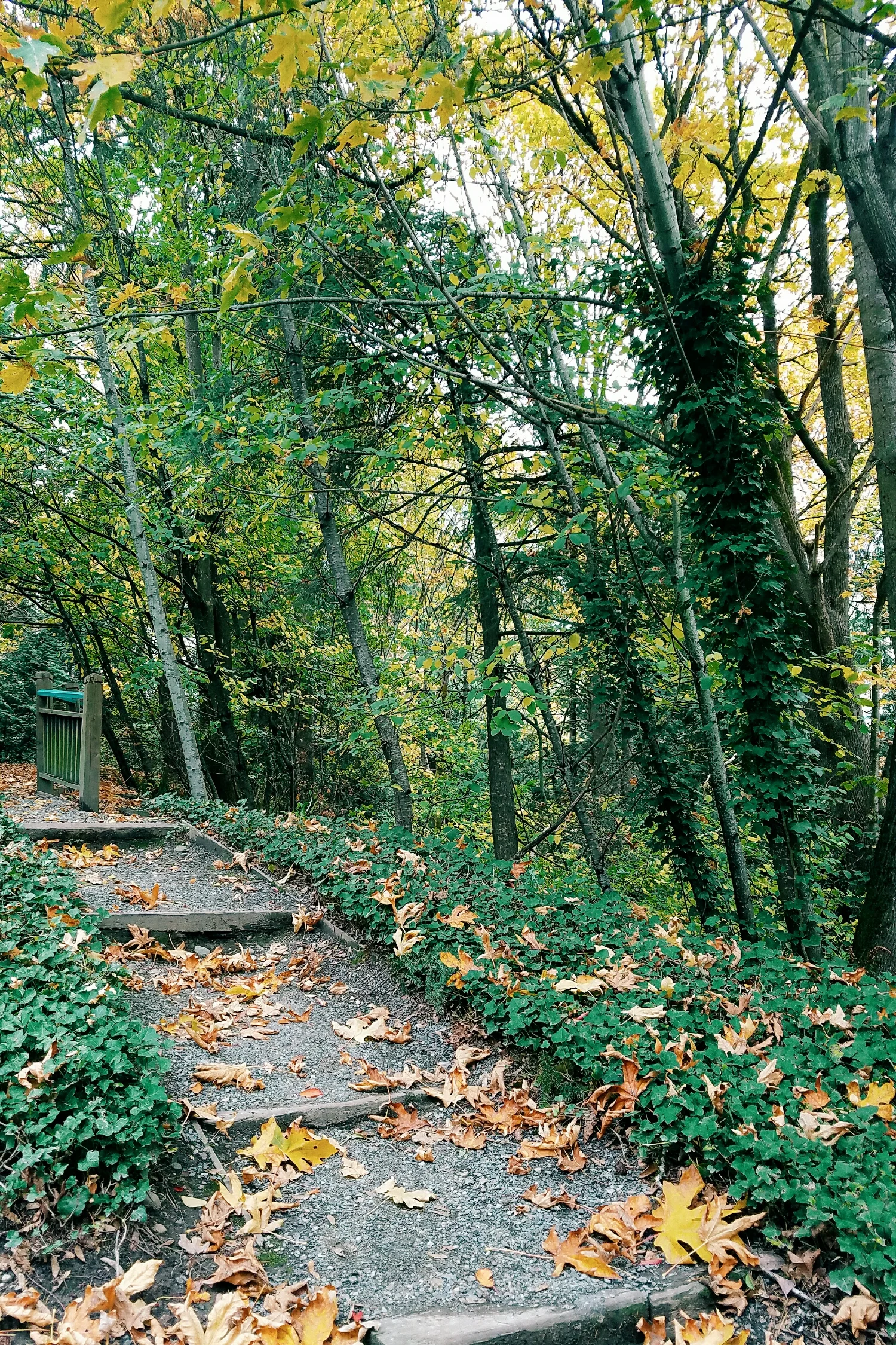 Fall views around home