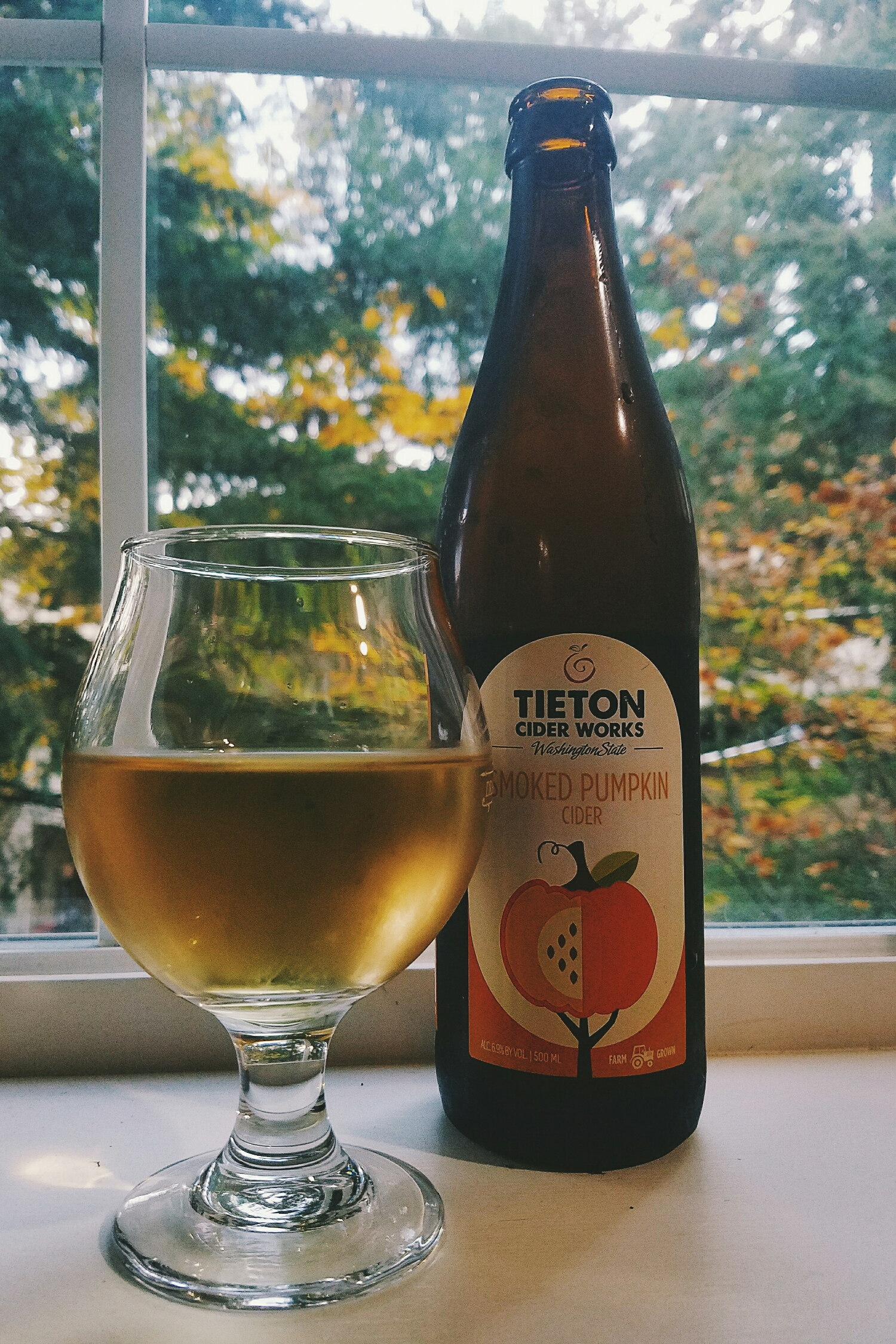 I've had tons of pumpkin beers, but this was my first pumpkin cider. It did not disappoint!