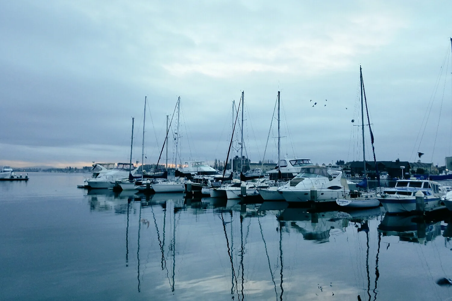 Early morning walk along the Oakland waterfront &nbsp;with a perfect cup of coffee