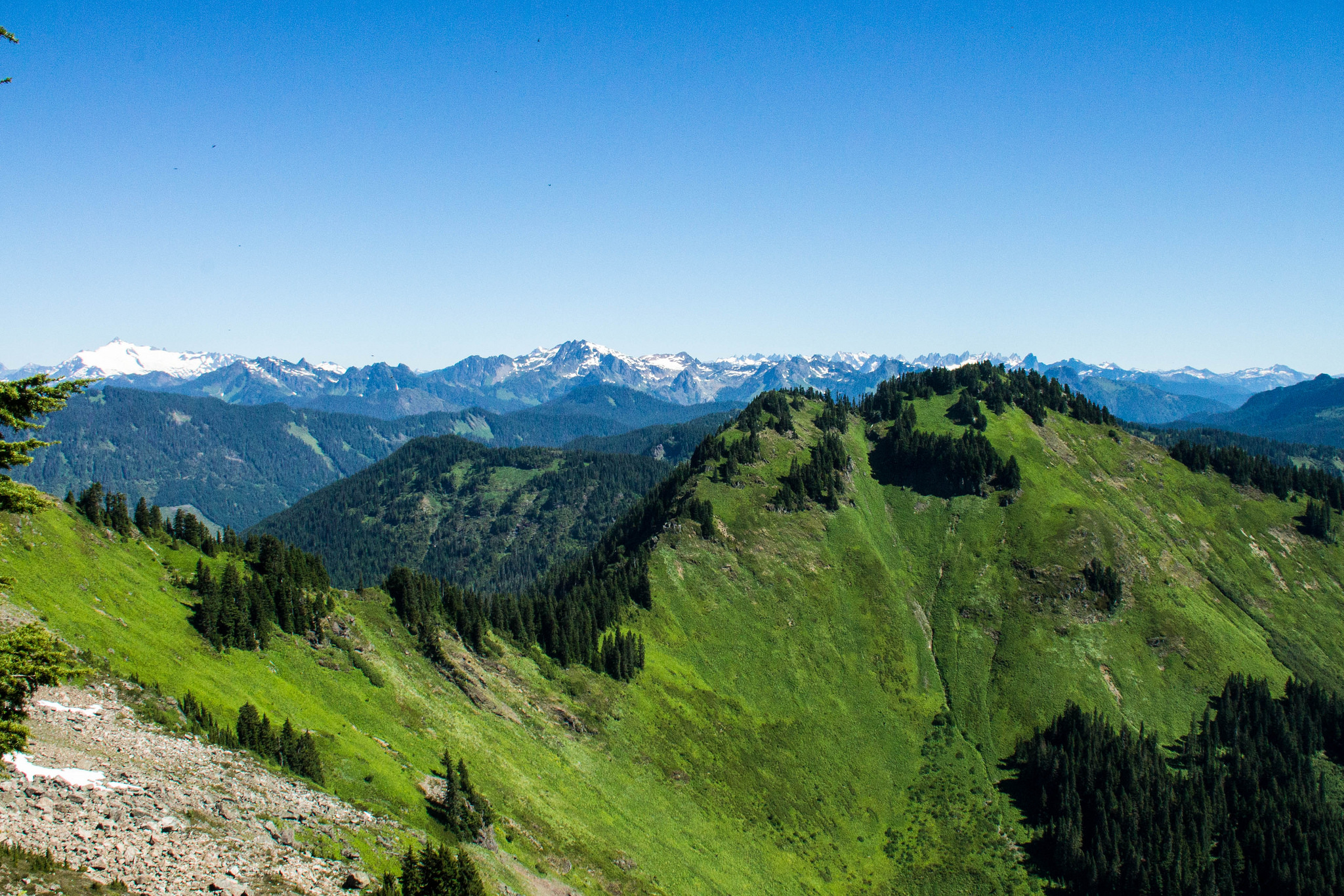 Breathtaking views from the Sauk Mountain trail on a cloudless July day!