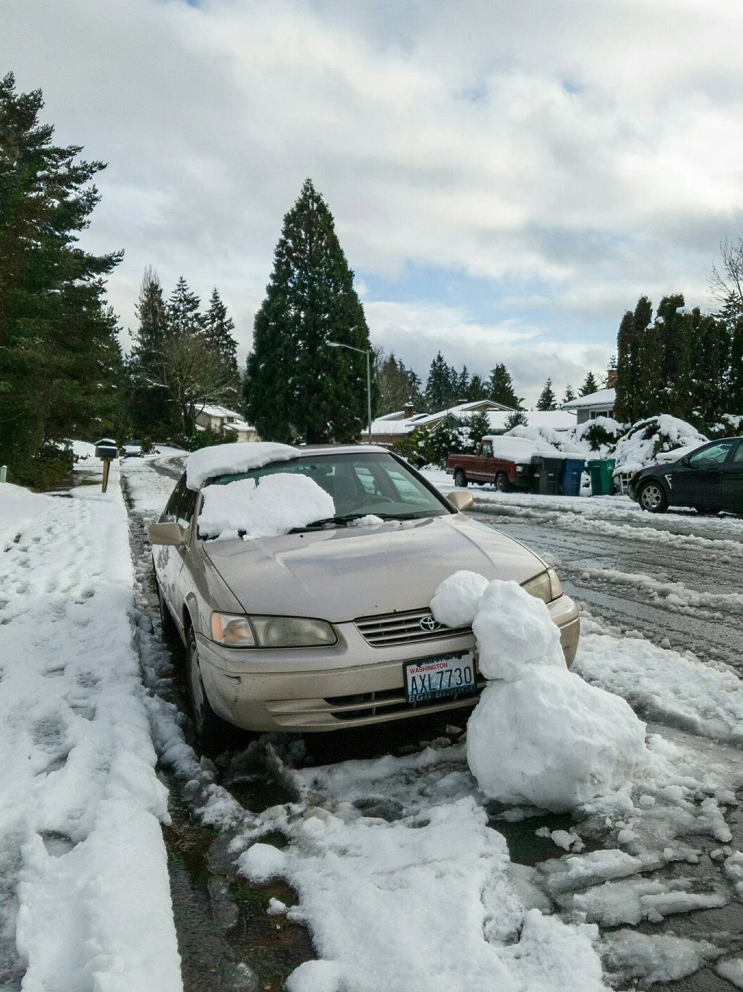 Snowy casualty