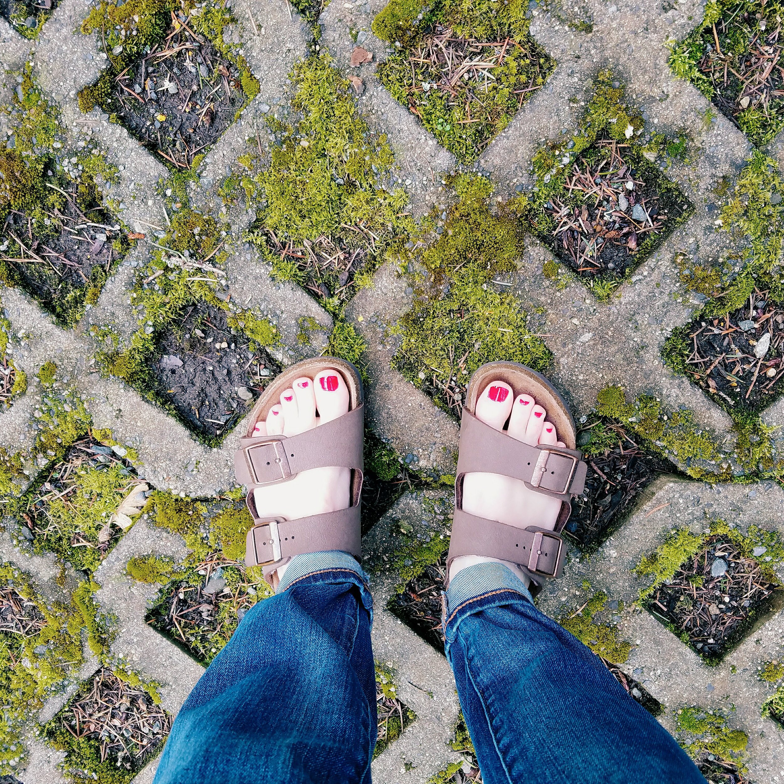Look down: spring eidtion