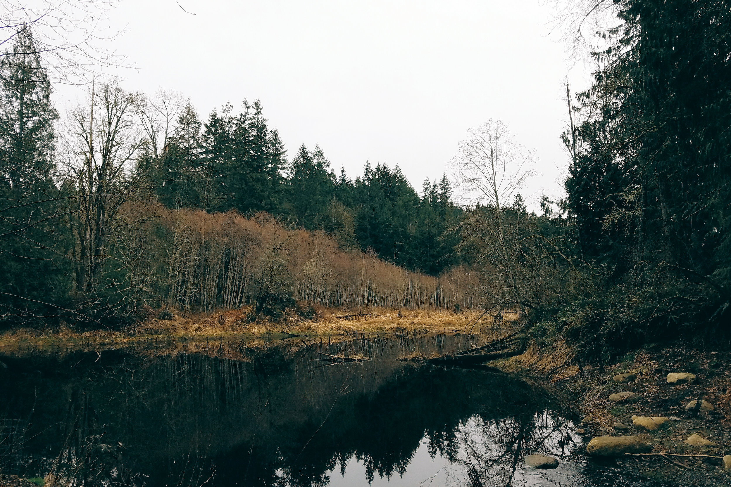 Winter stillness at the watershed. A few minutes earlier it was hailing.