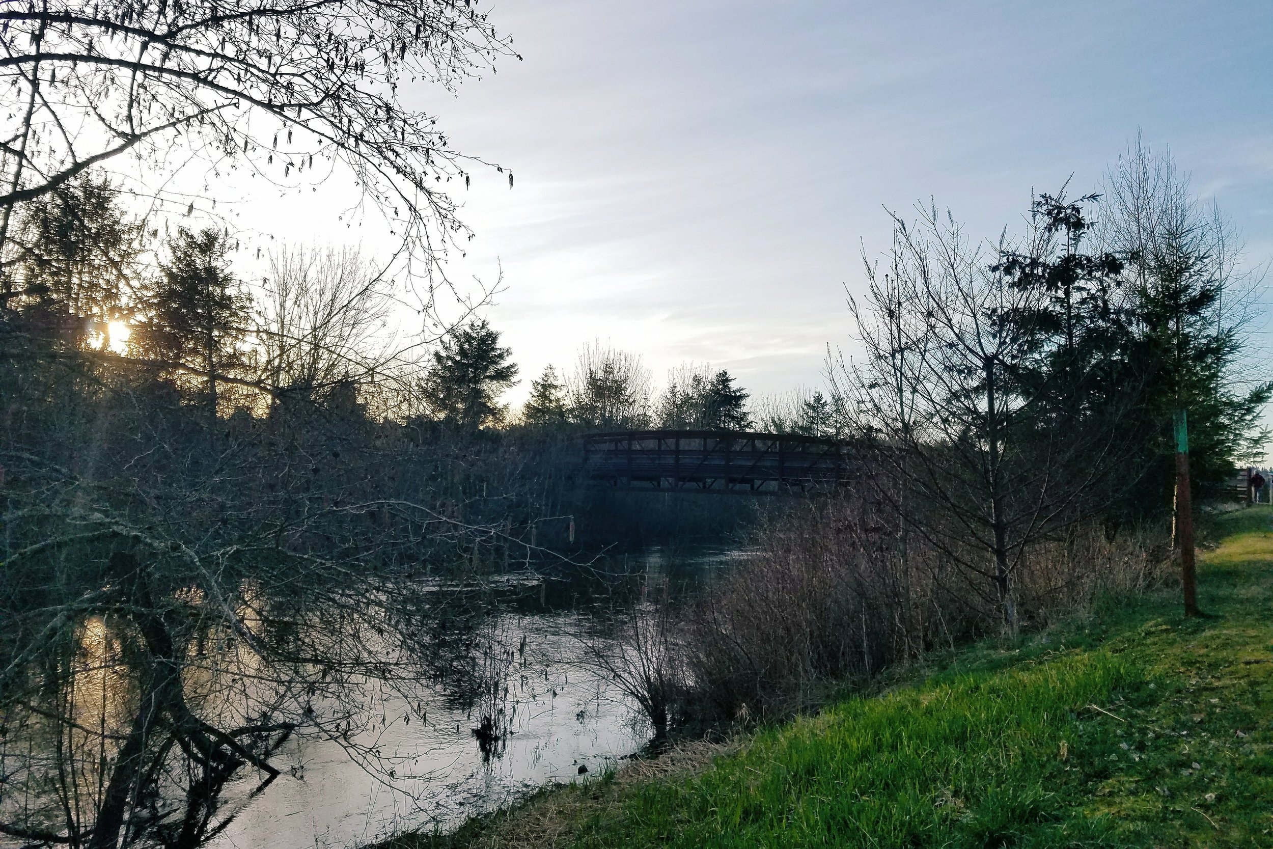 Longer days mean time for evening walks along the Sammamish River