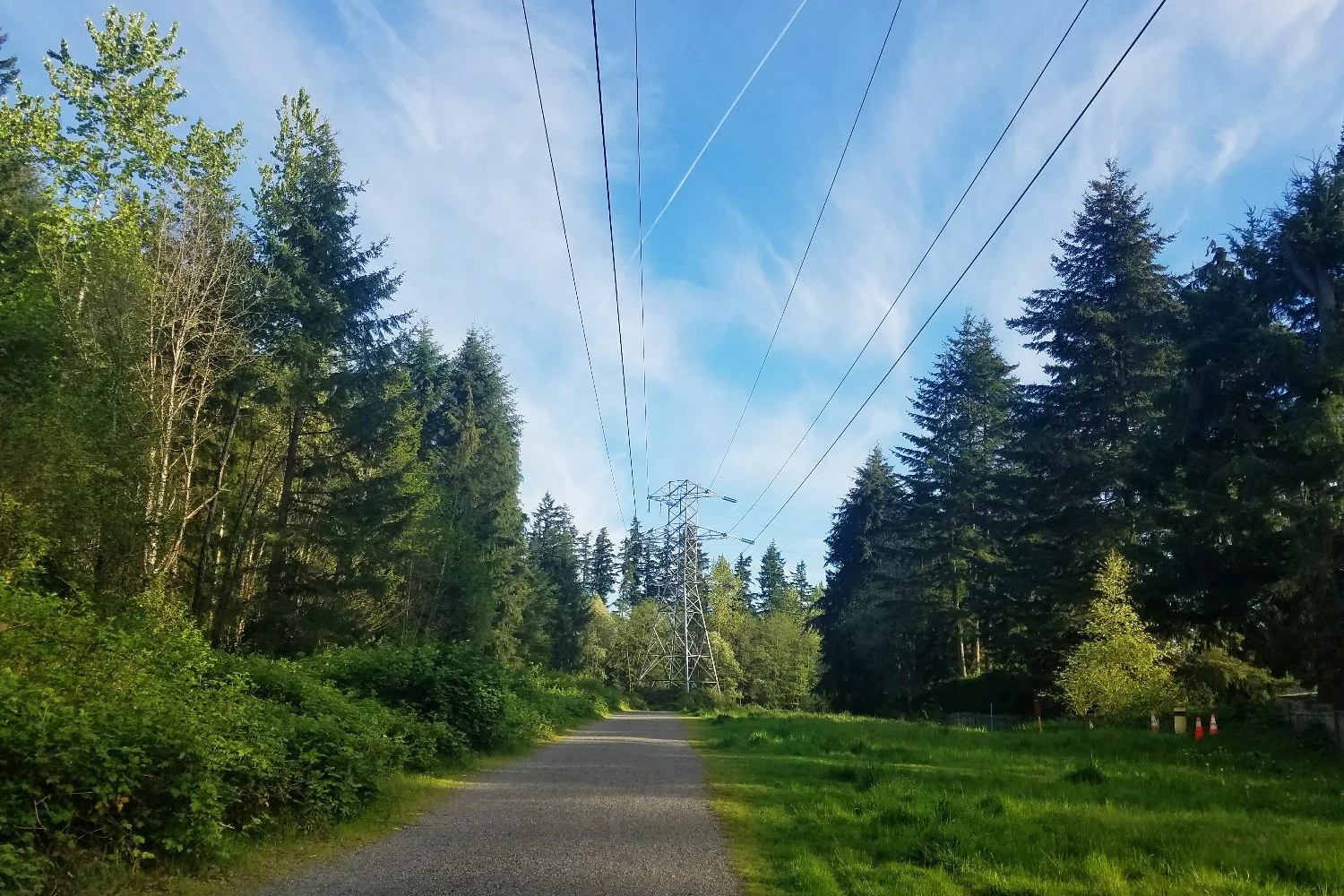 A sunny late afternoon walk before the storm