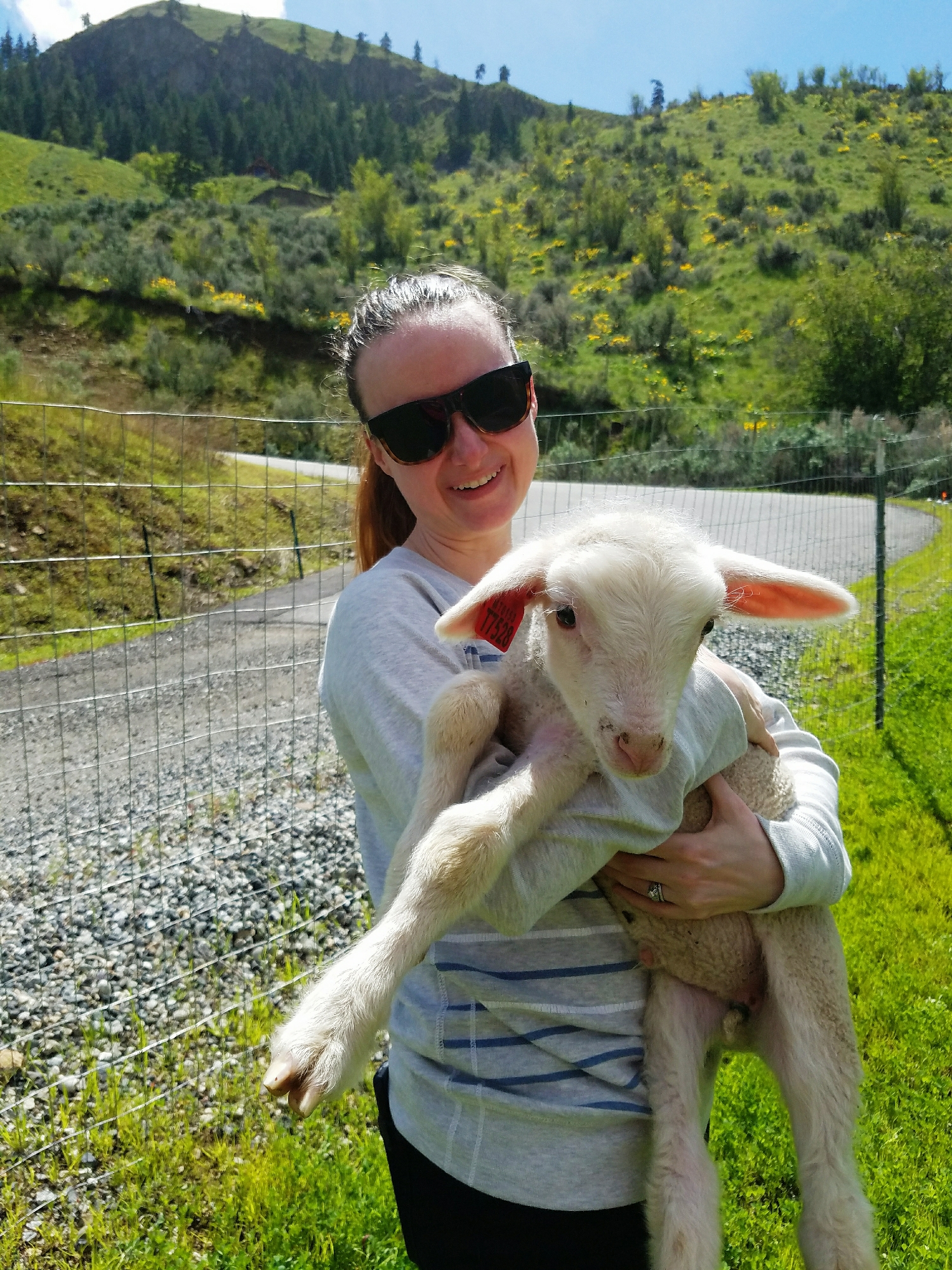 I think I may have been more excited about the lambs than my niece. So fleecy!