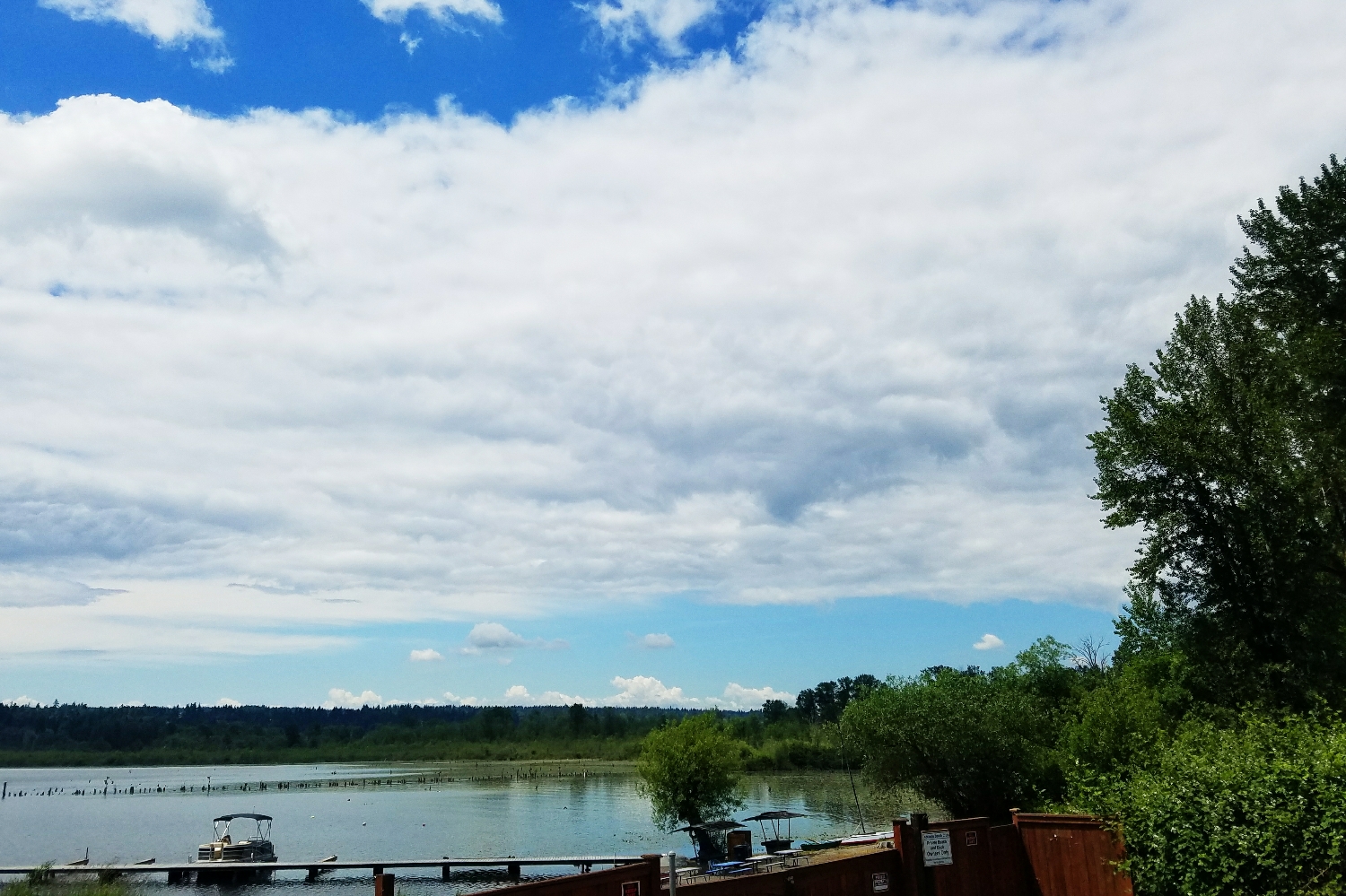 Stretching our legs with a walk around Lake Samammish while out running errands on Sunday was an excellent choice!