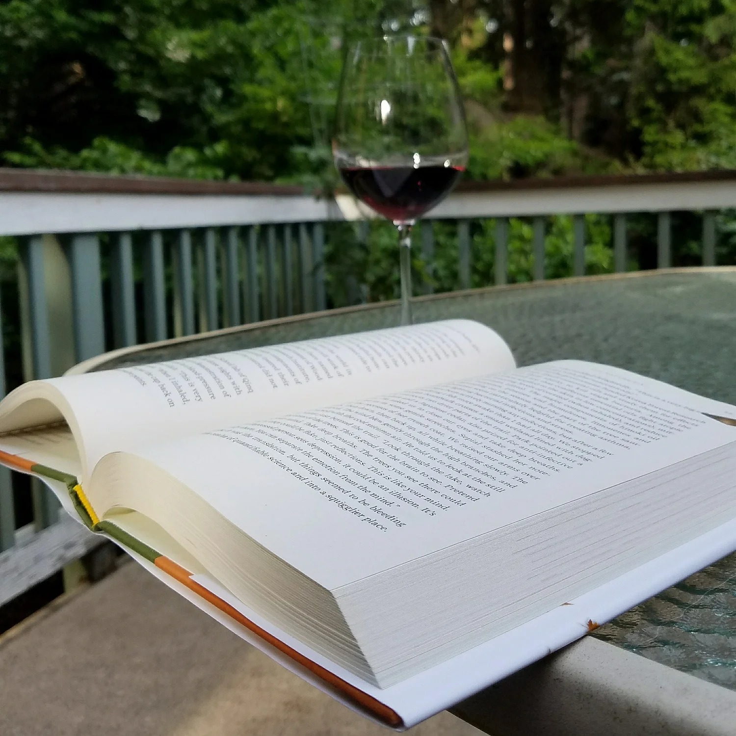 Reading outside at 7 PM - what luxury!