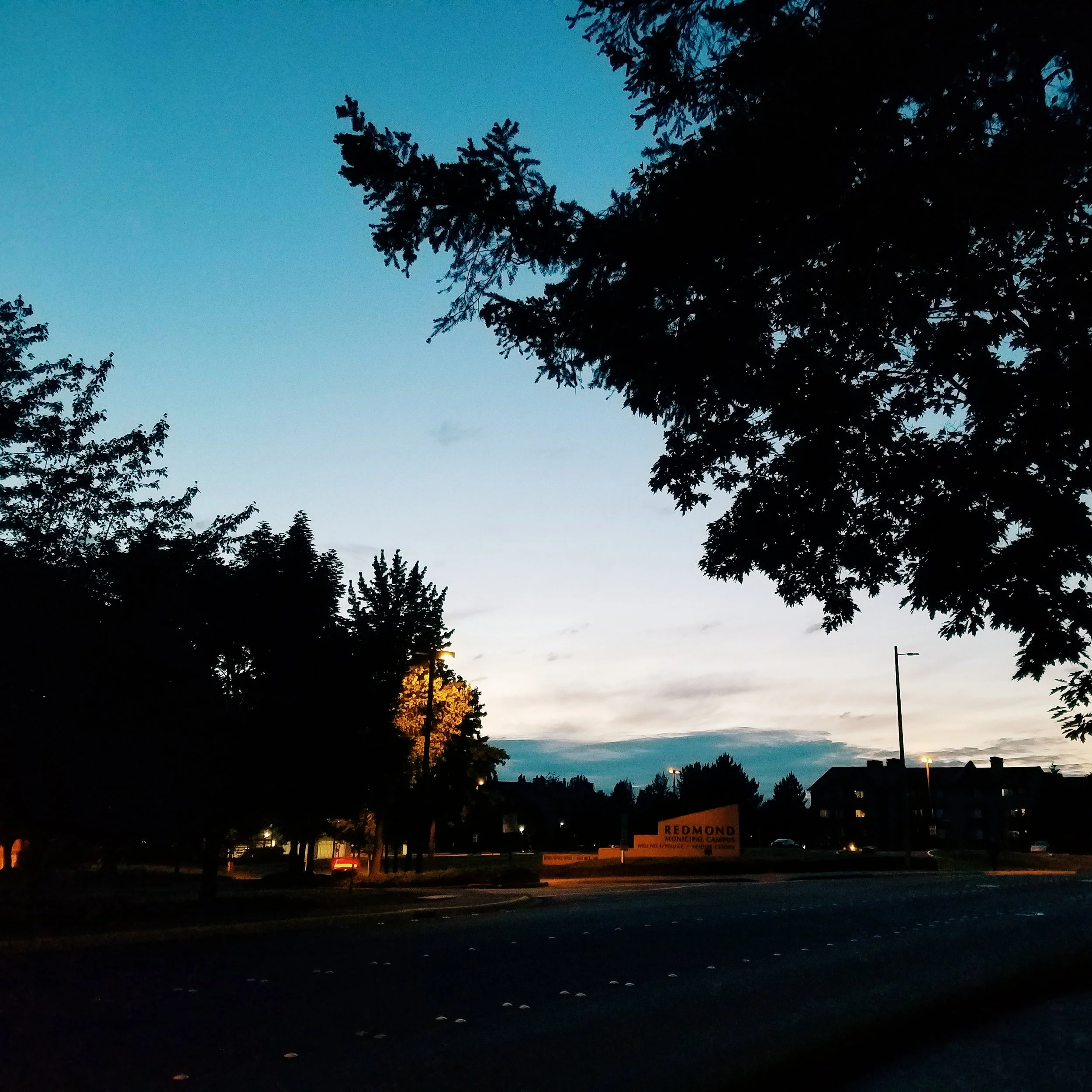 Redmond at 9:30 PM. I love these long days!