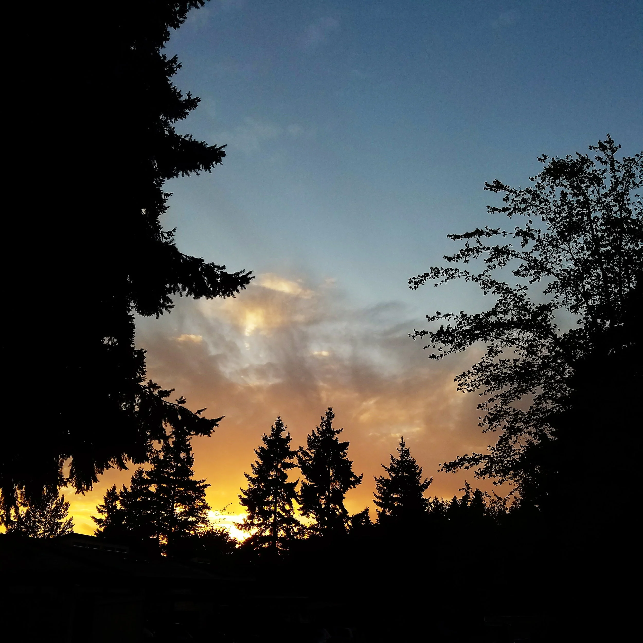 Leaving home to a beautiful sunset
