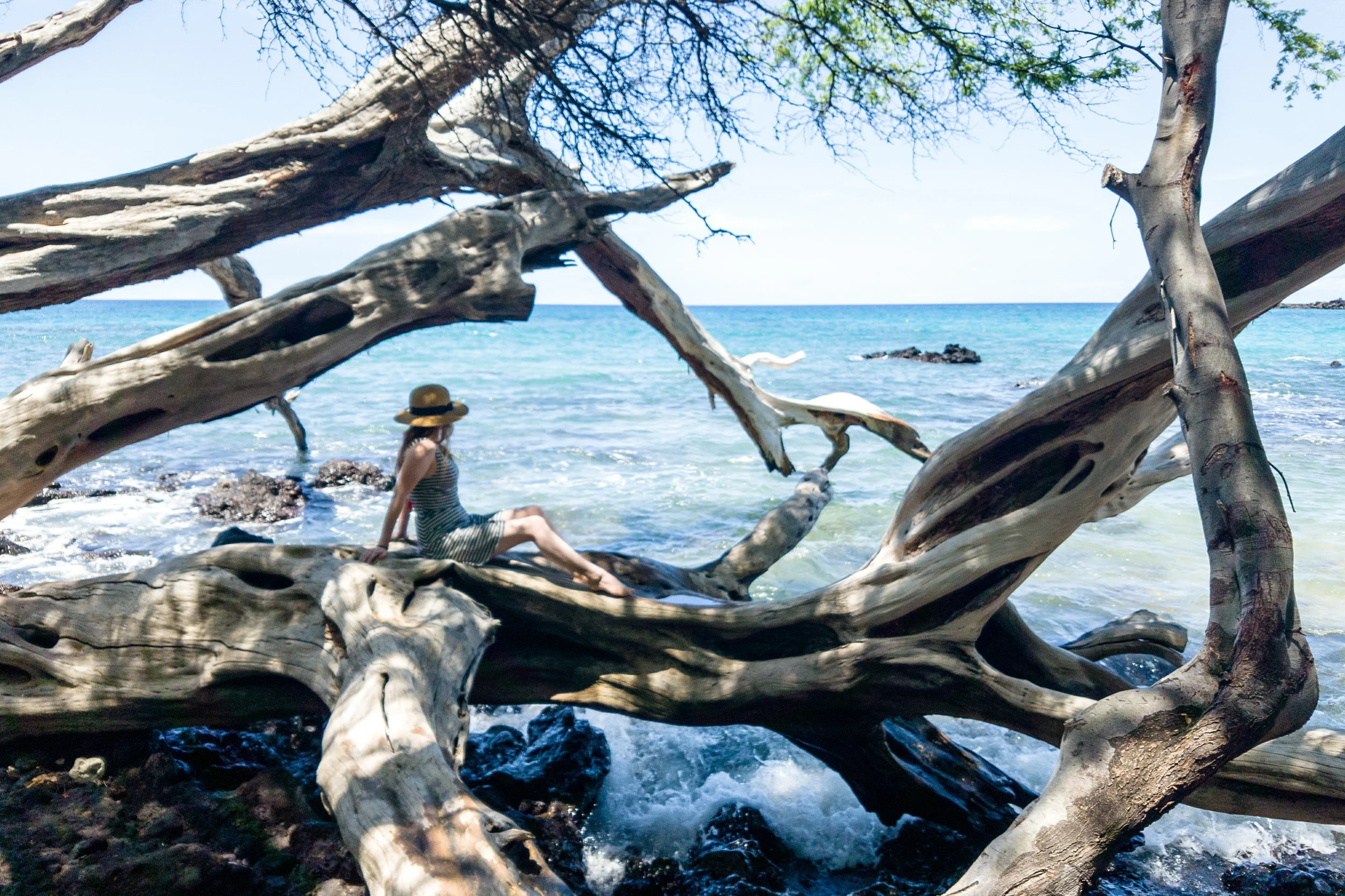 New favorite beach on the Big Island! So many sculptural trees providing plenty of shade