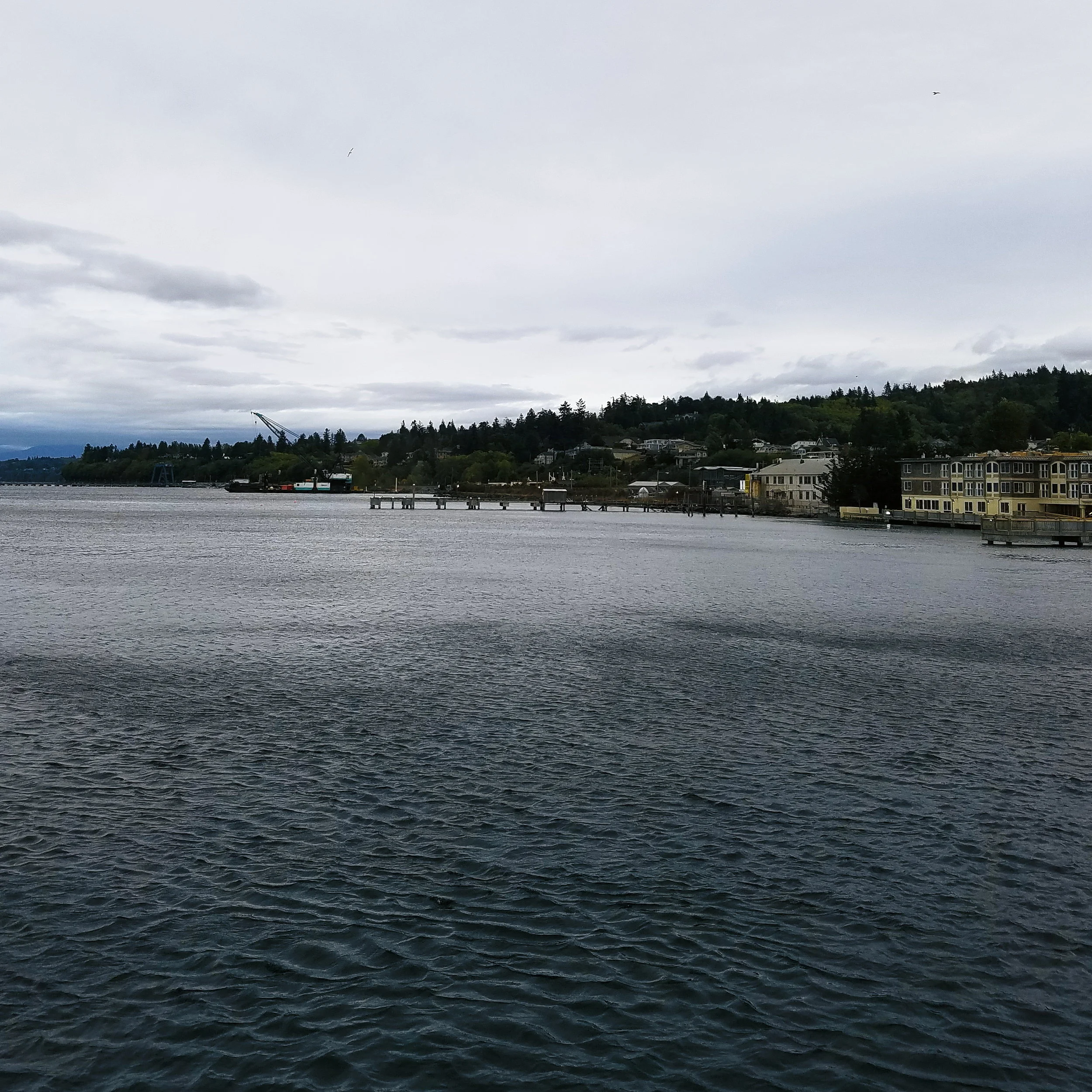 Blustery grey views from the Mukilteo ferry terminal
