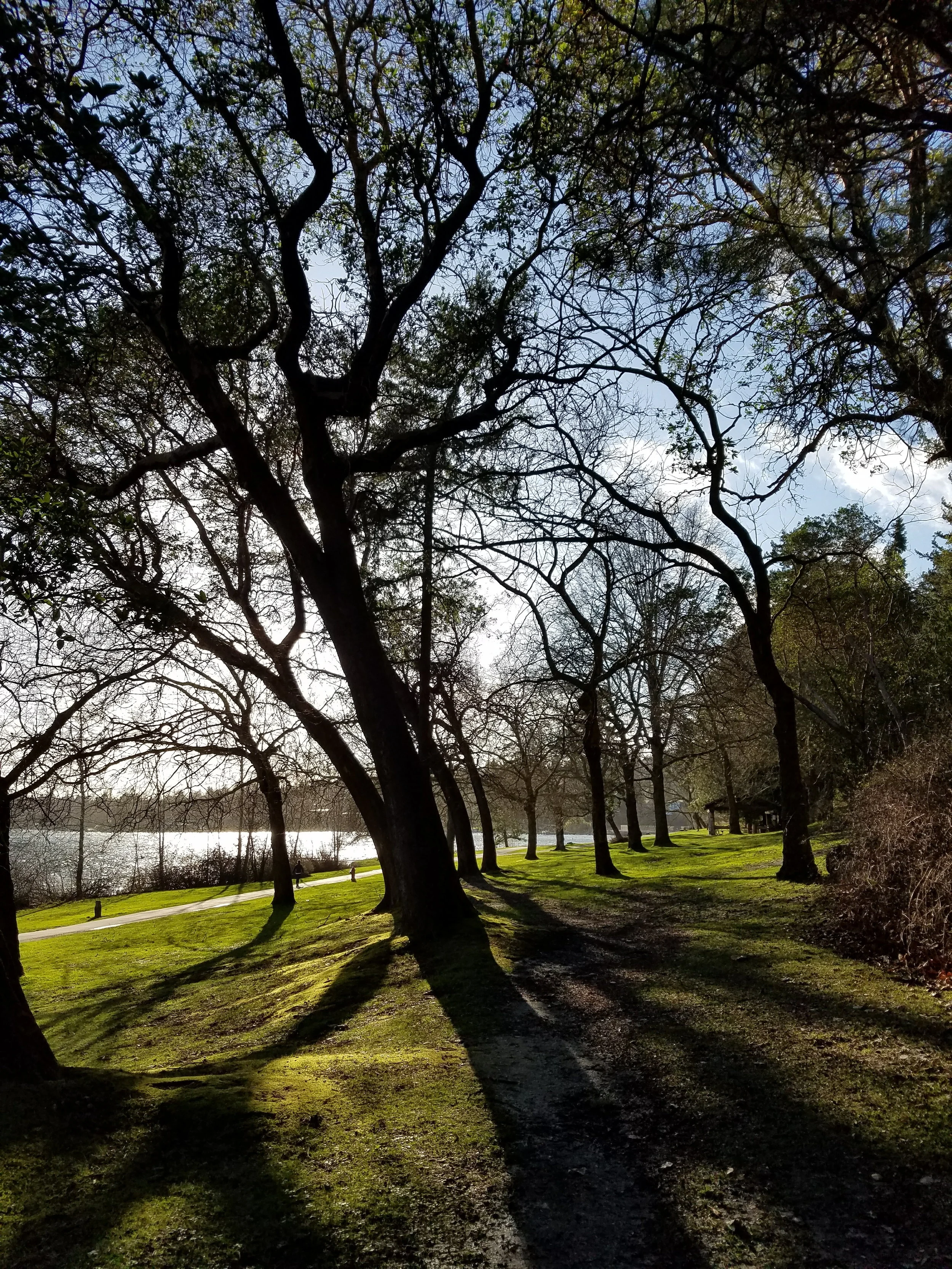 Long afternoon shadows - it almost looks like summer!