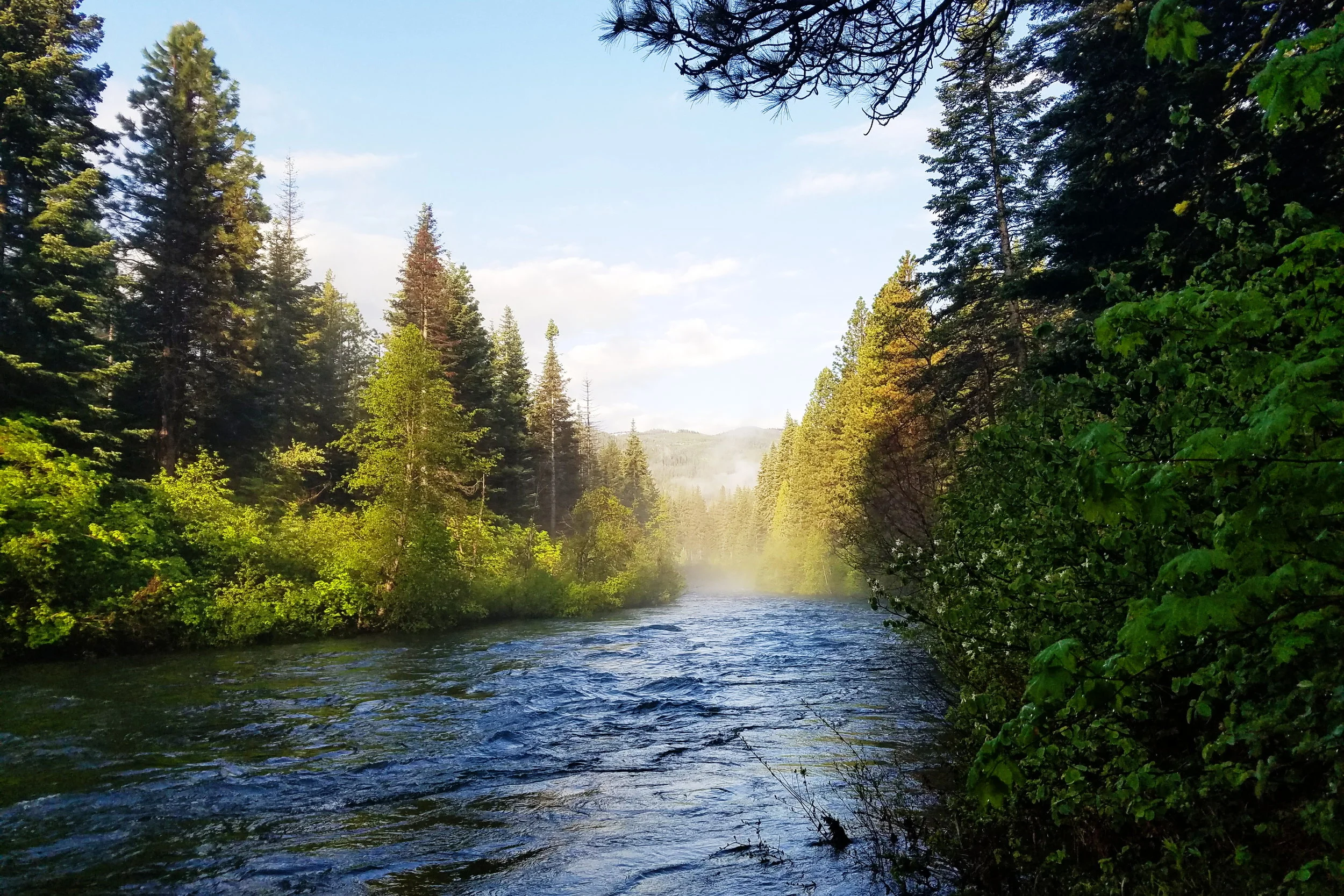Misty morning view of Nason Creek