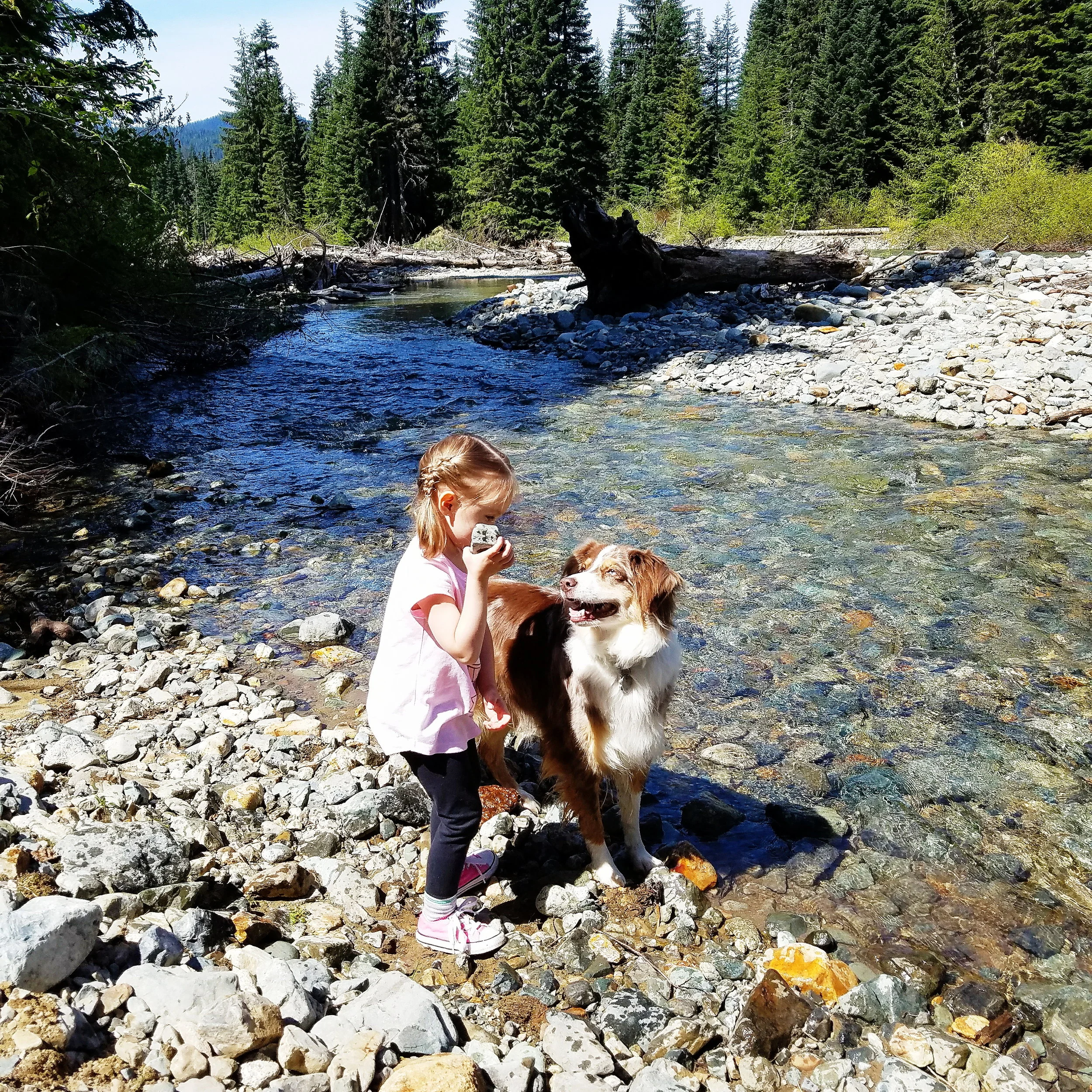 Throwing rocks in the creek is an excellent way to spend an afternoon!