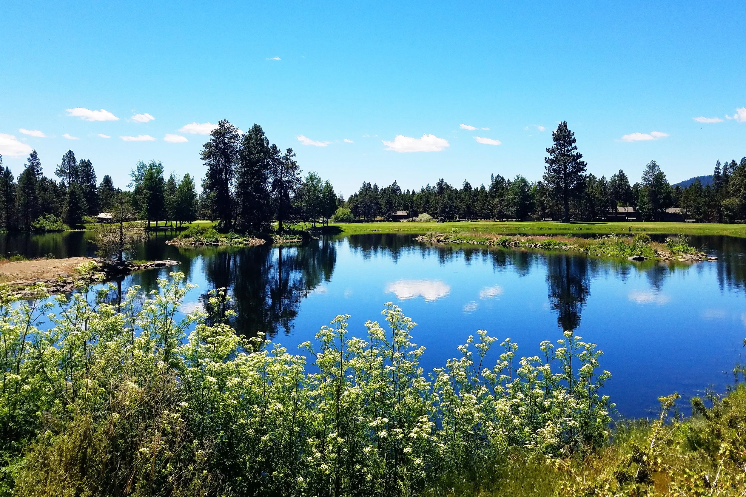 Golf courses can be pretty too - who knew? π