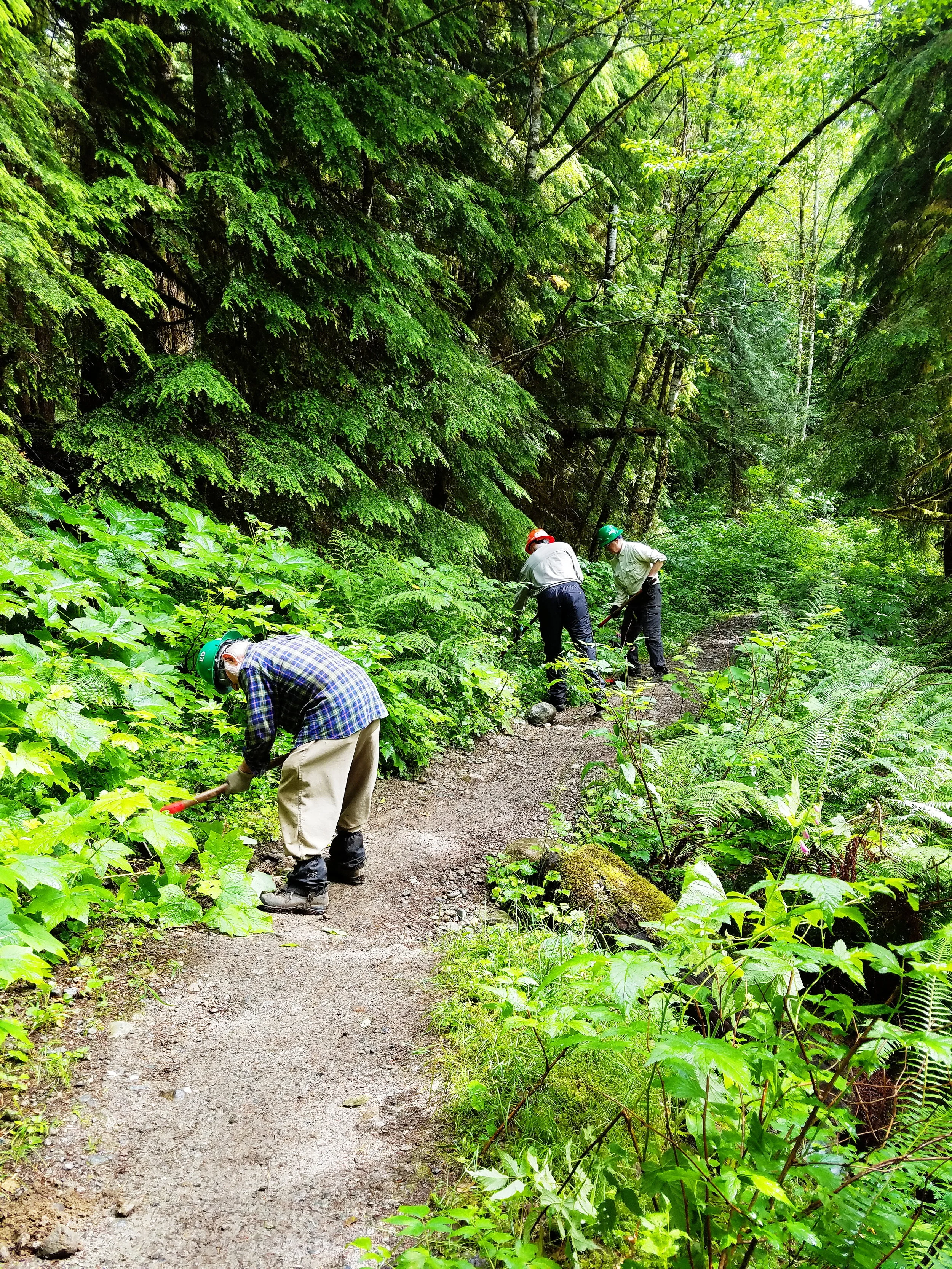 Sunday - before our crew started the work of repairing a short stretch of trail eroding downslope