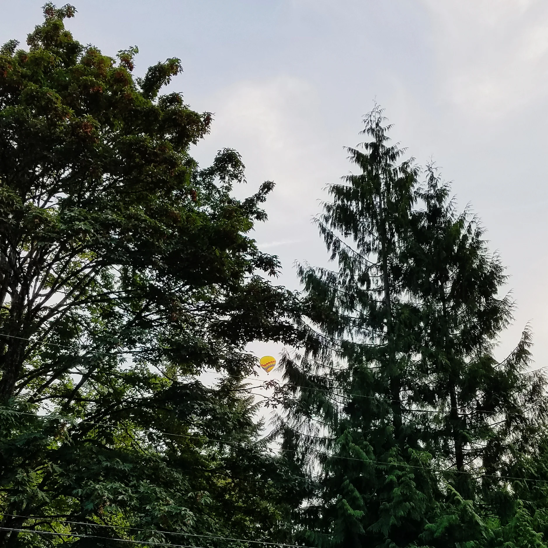 Always lots of hot air balloons to watch from my parents house in the summer!